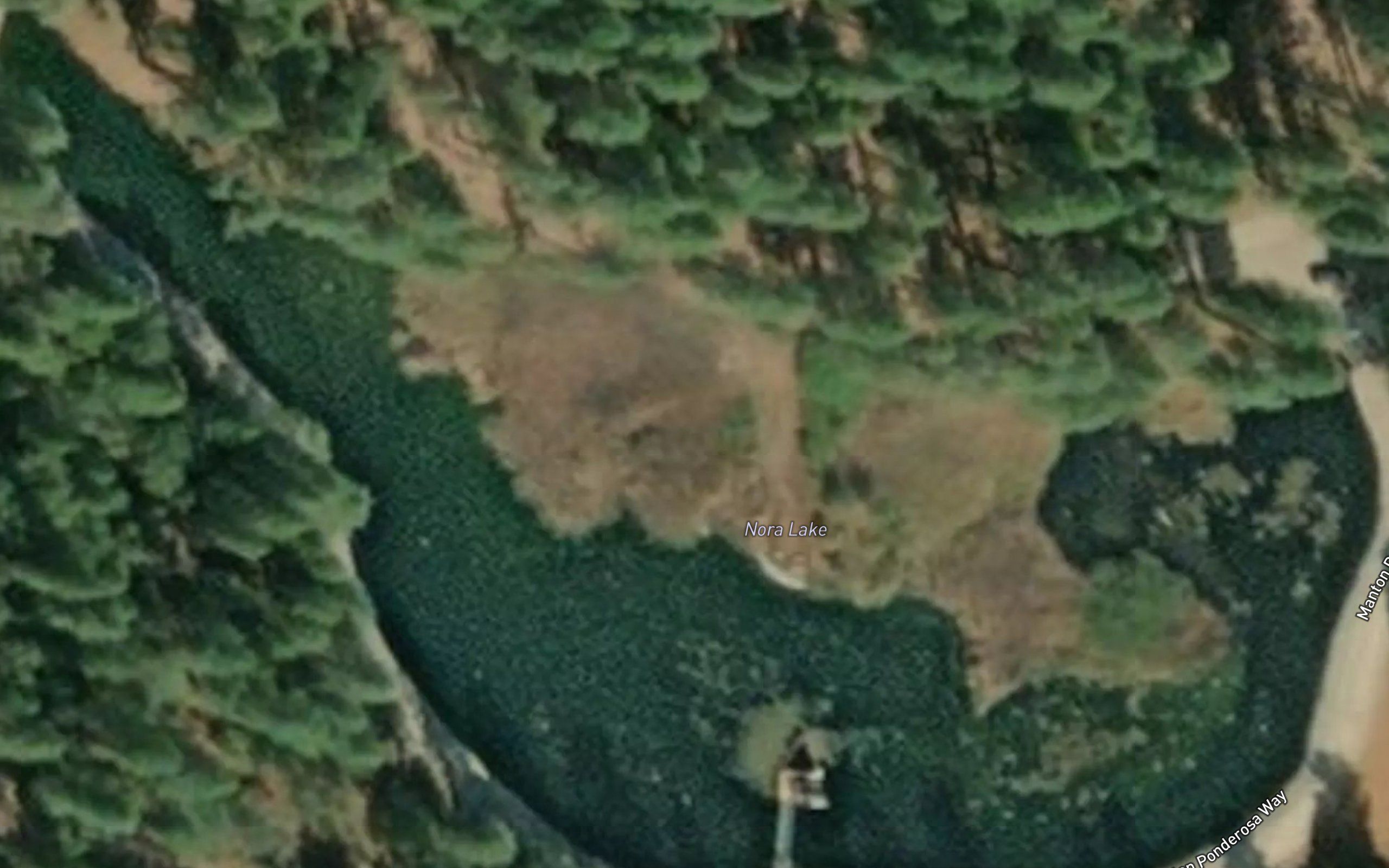 Nora Lake