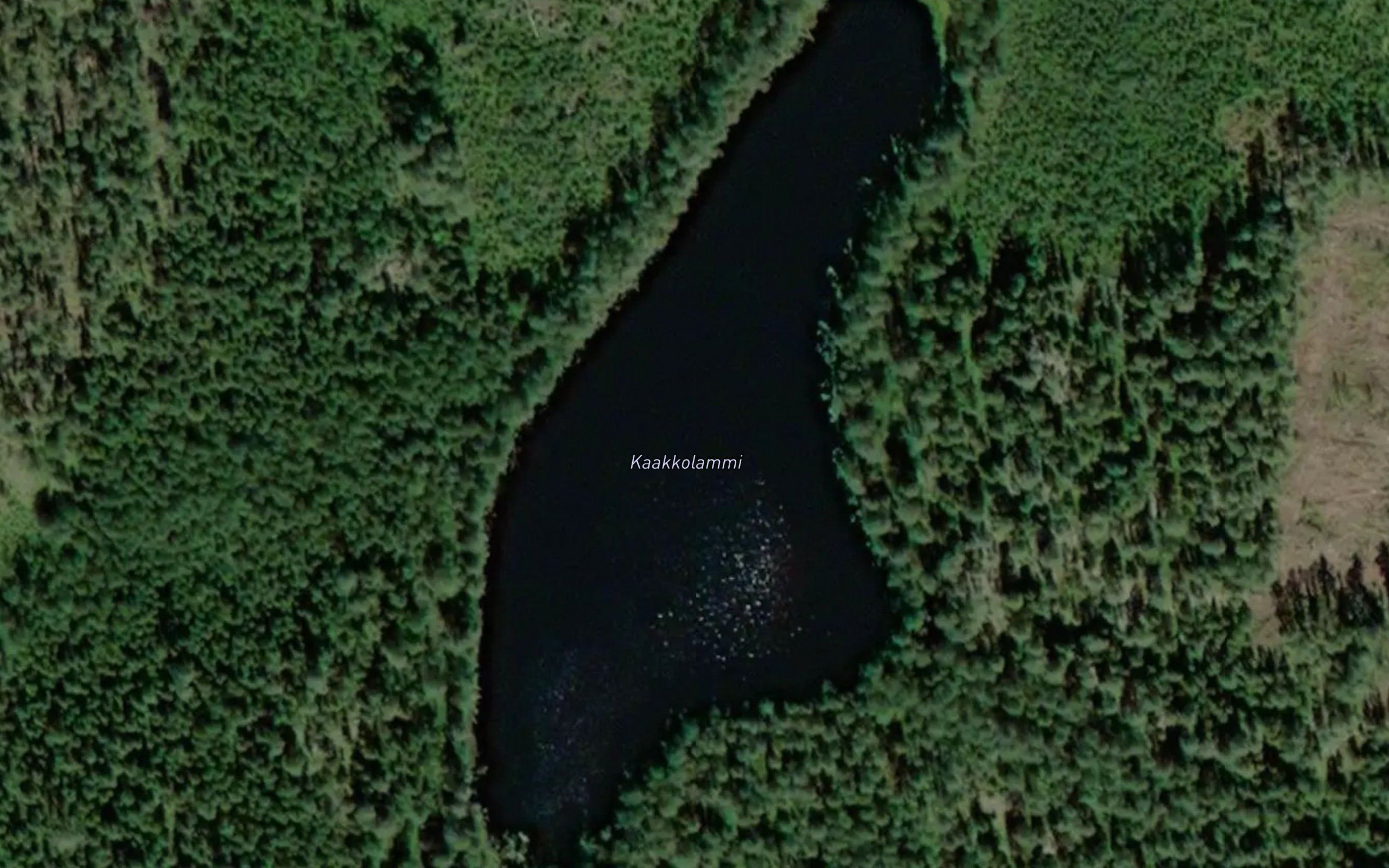 Kaakkolammi