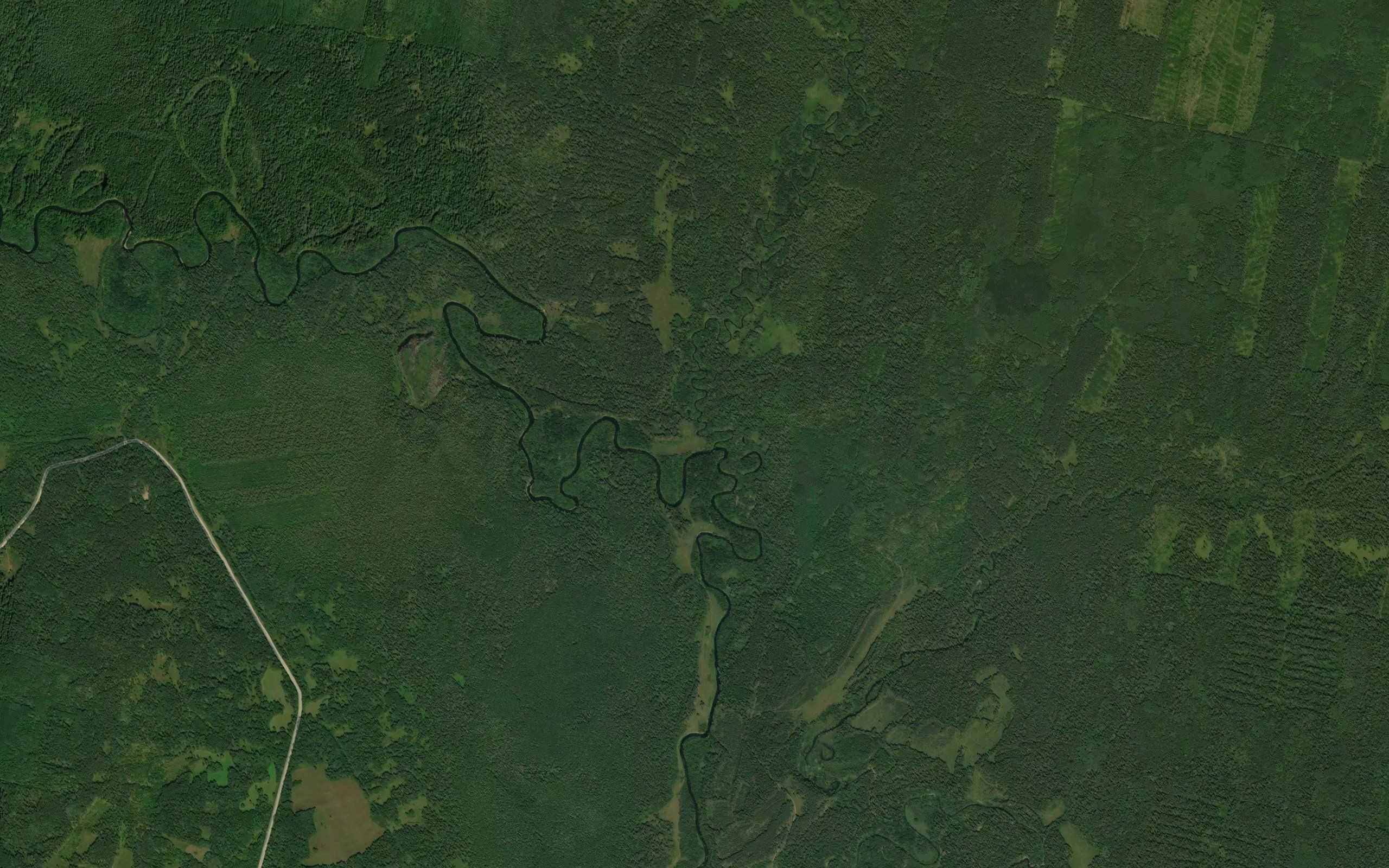 Baskaya