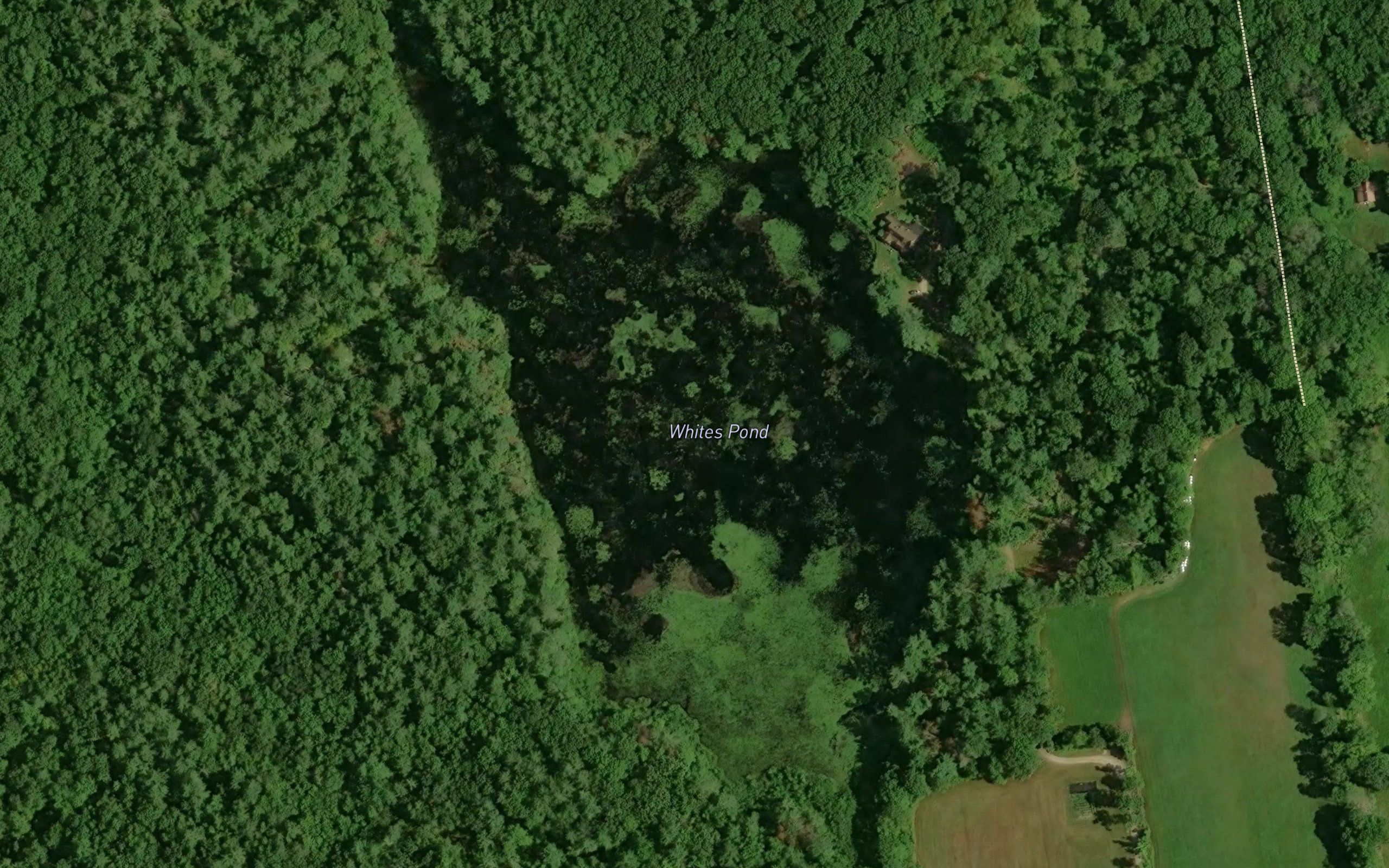 Whites Pond