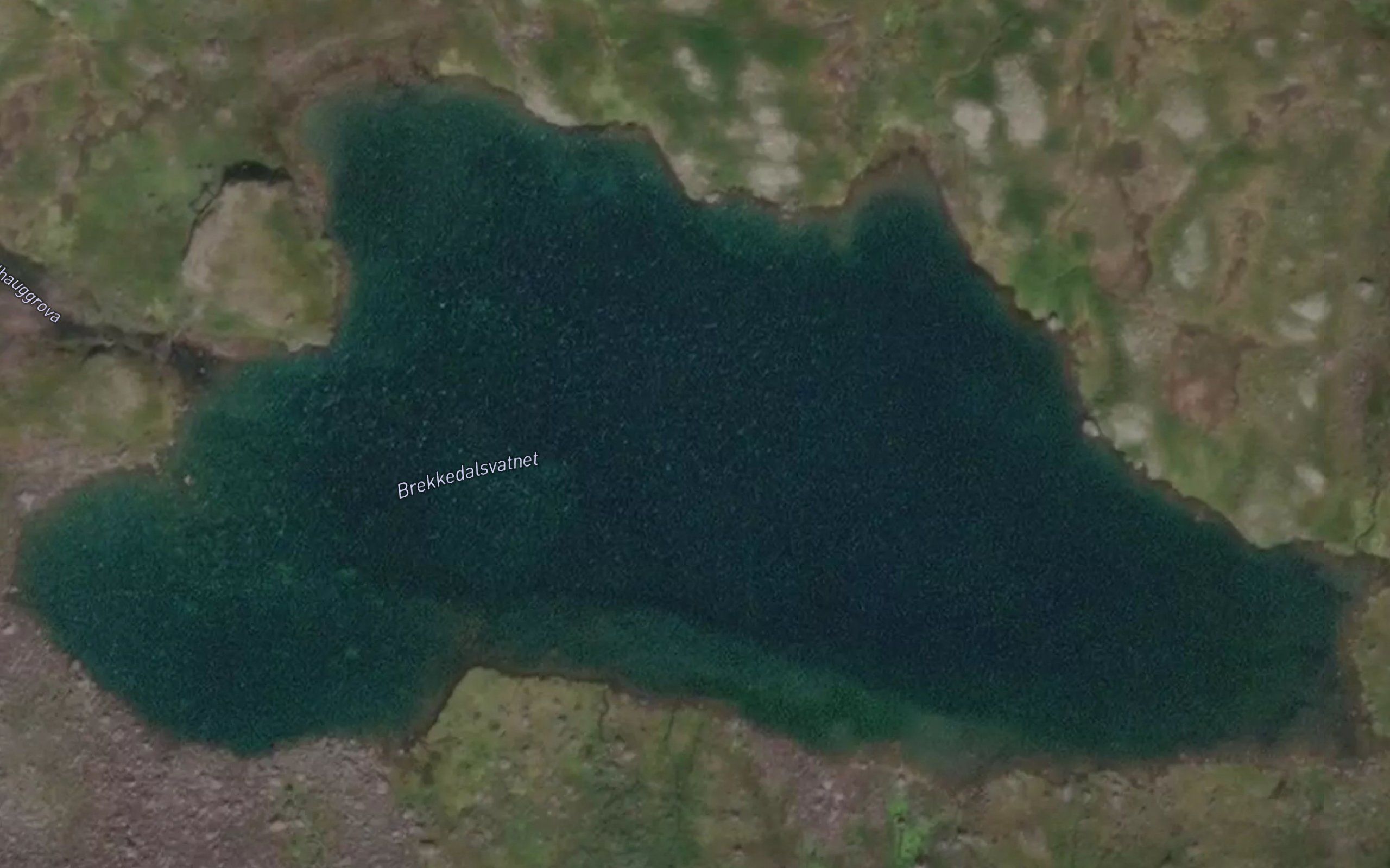 Brekkedalsvatnet