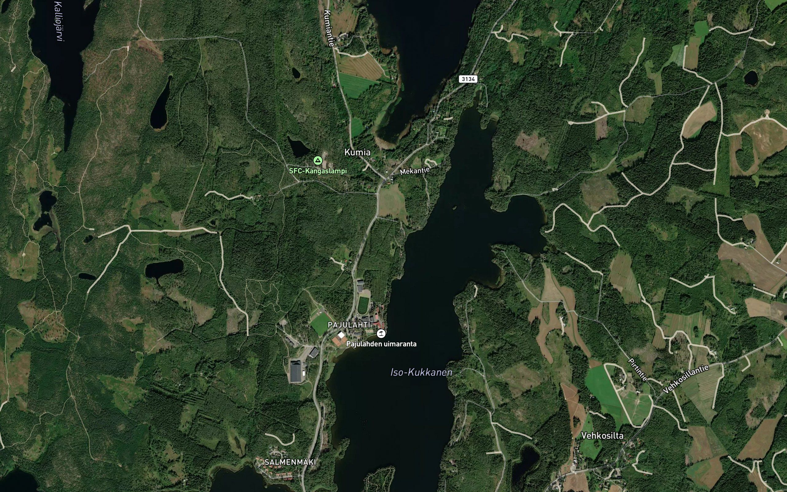 Hopealammi