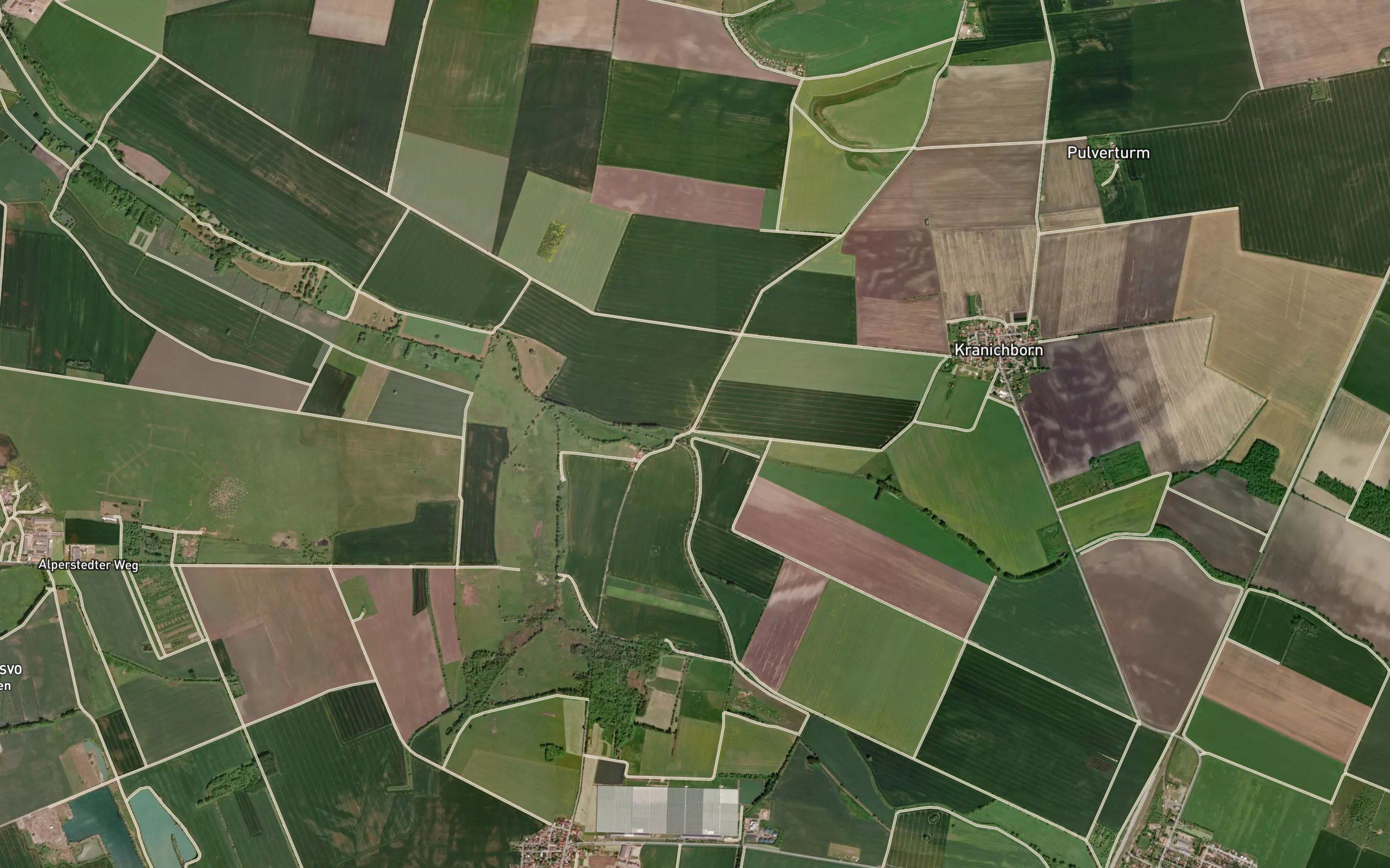 Vippach