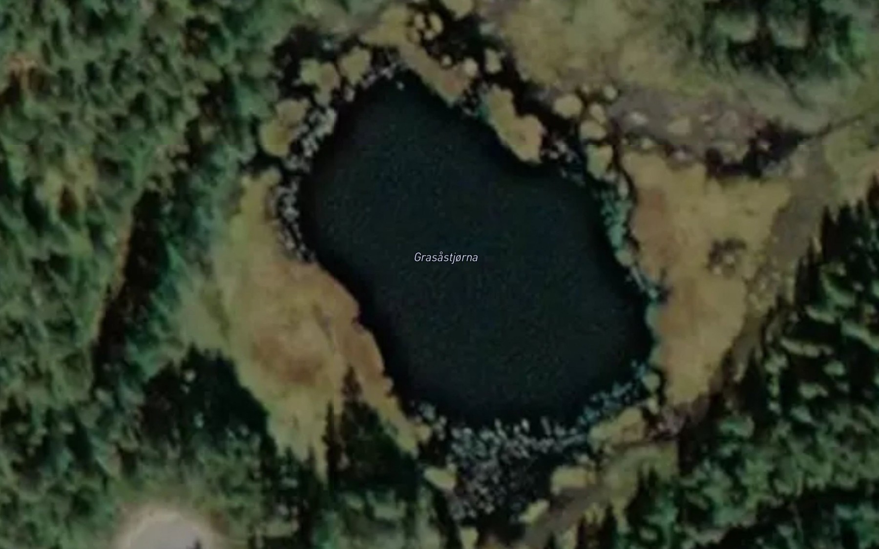 Satellite map of the Grasastjenn