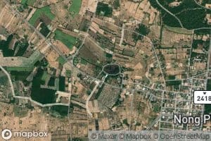 Nong Bua
