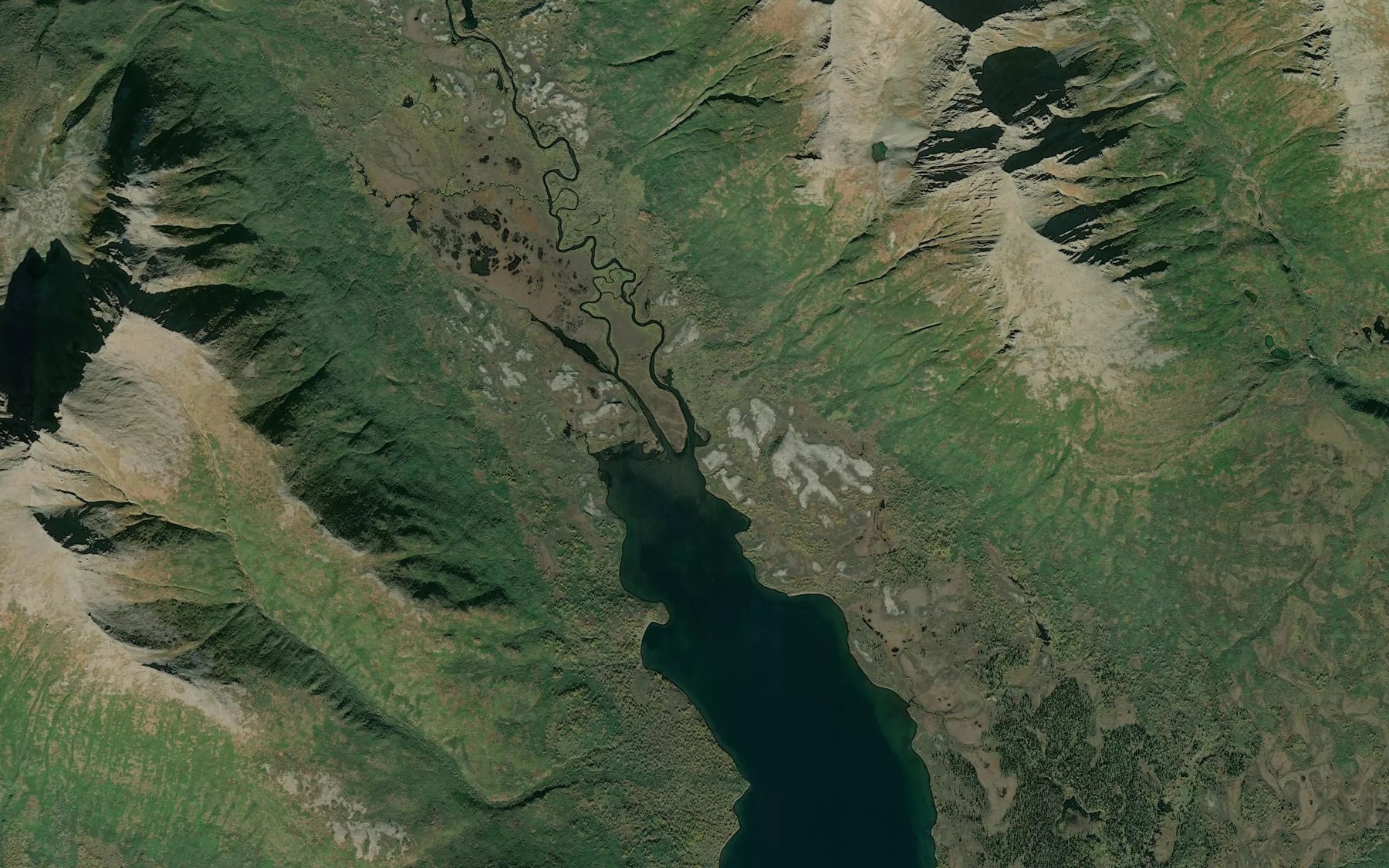 Satellite map of the Longarm Creek