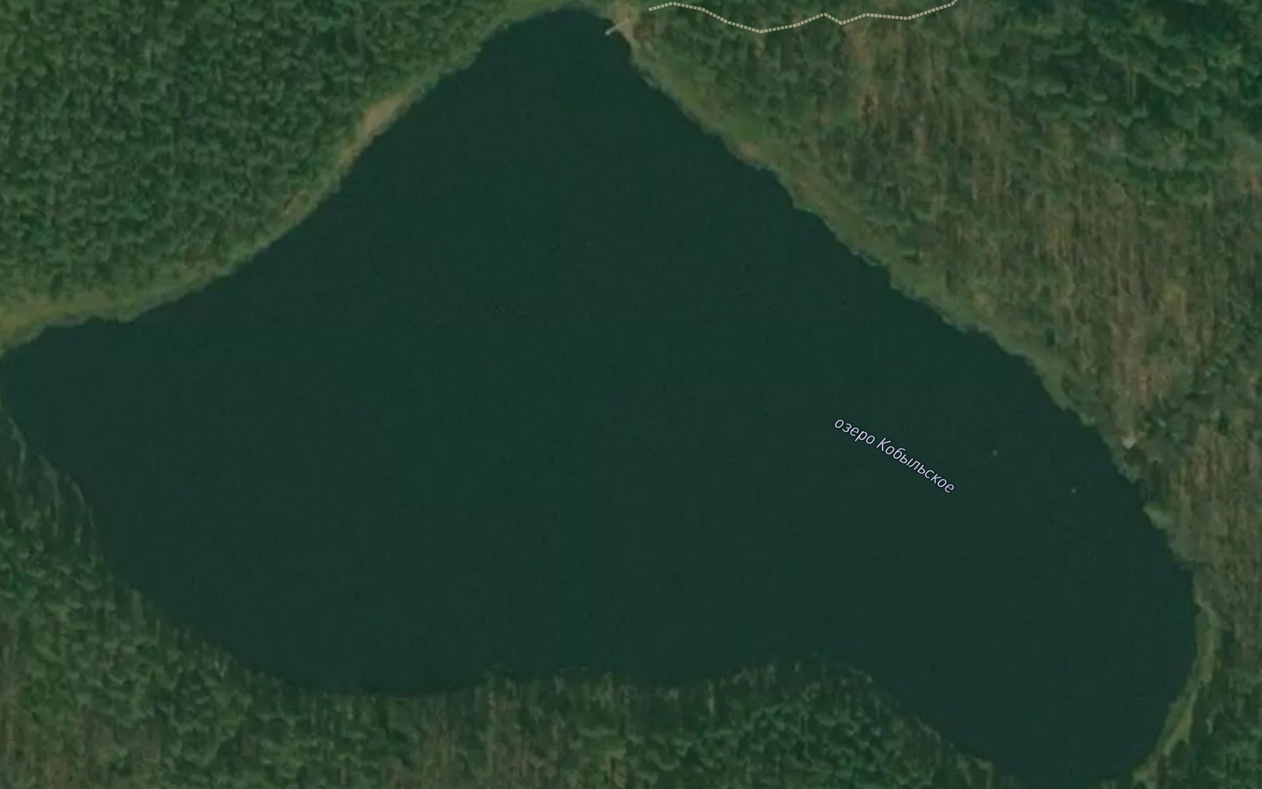 Satellite map of the Ozero Kobyl'skoye