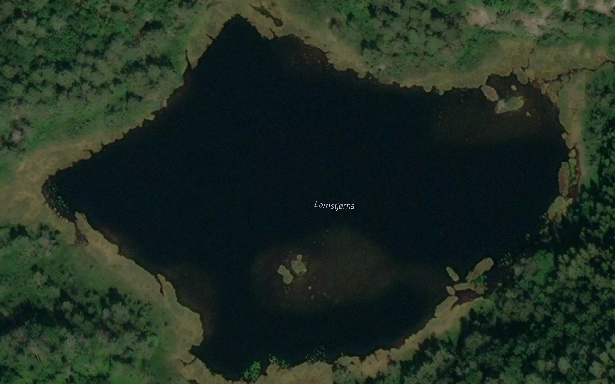 Lomstjorna