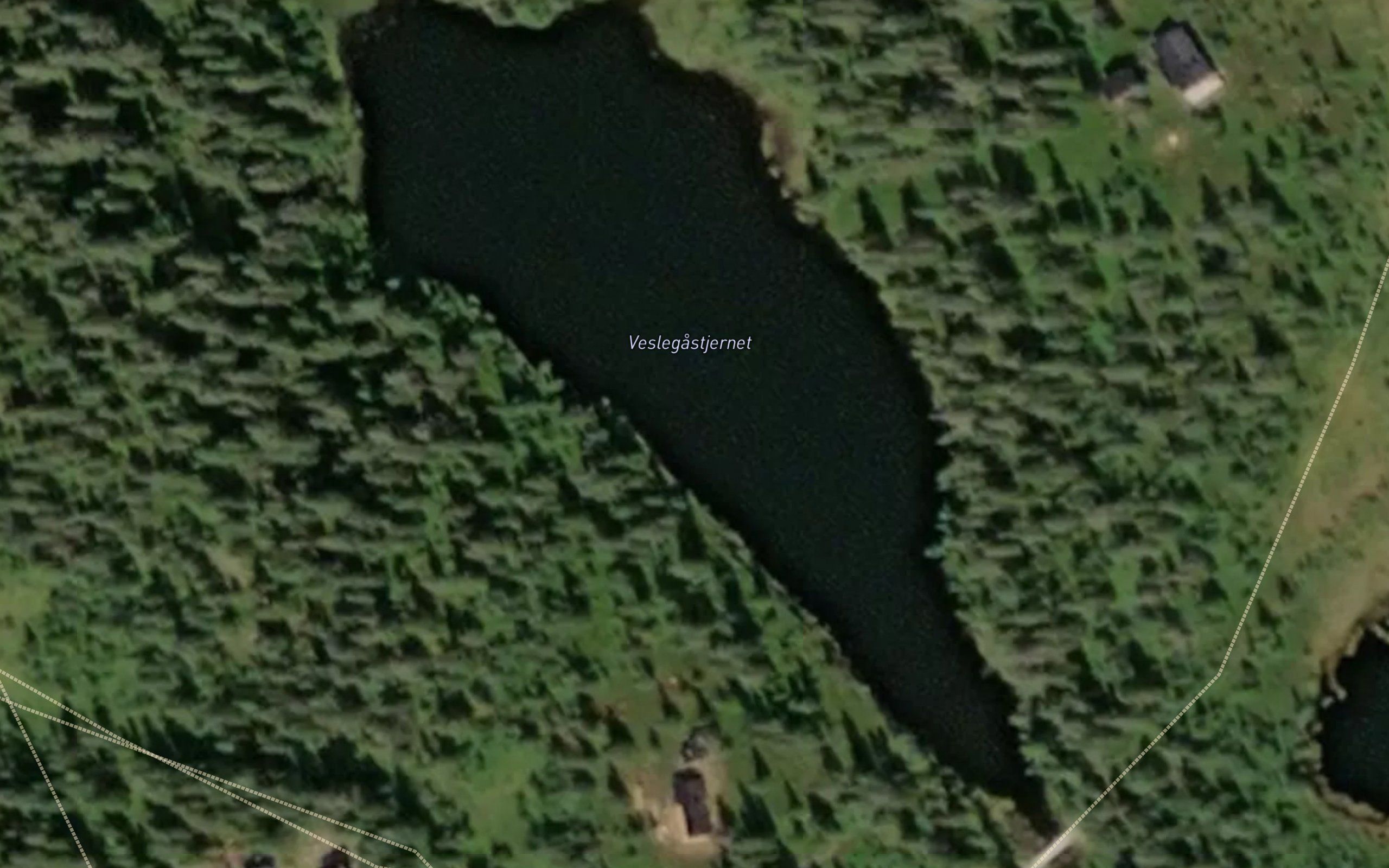 Veslegastjernet