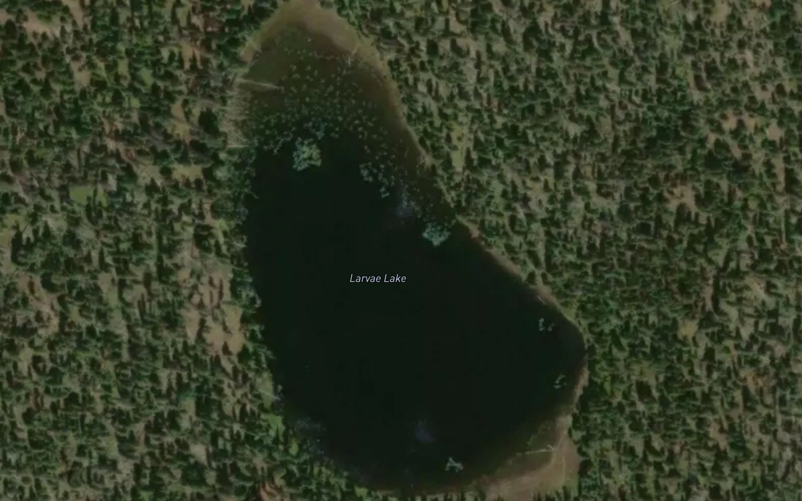 Larvae Lake