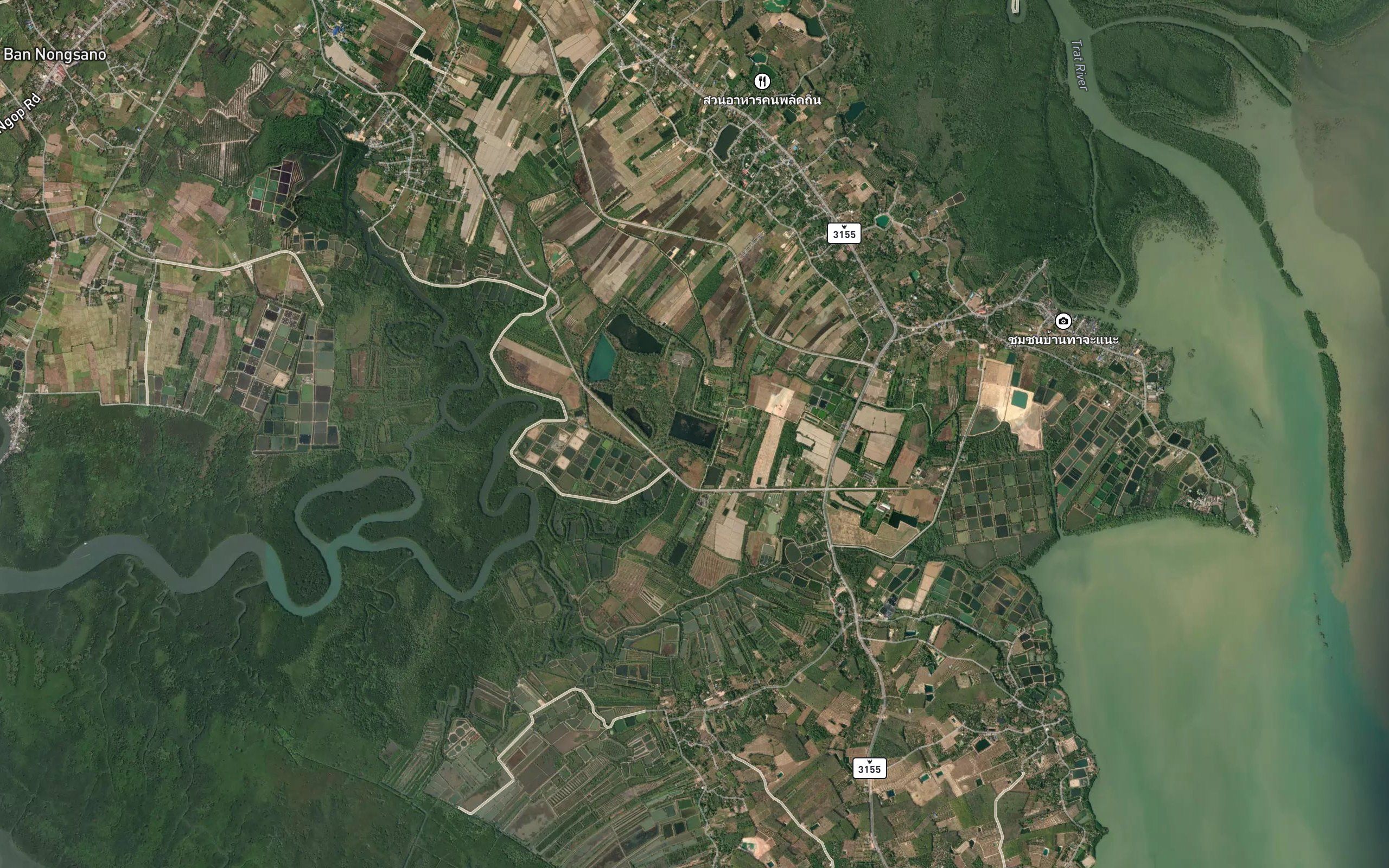Nong Kok Yai