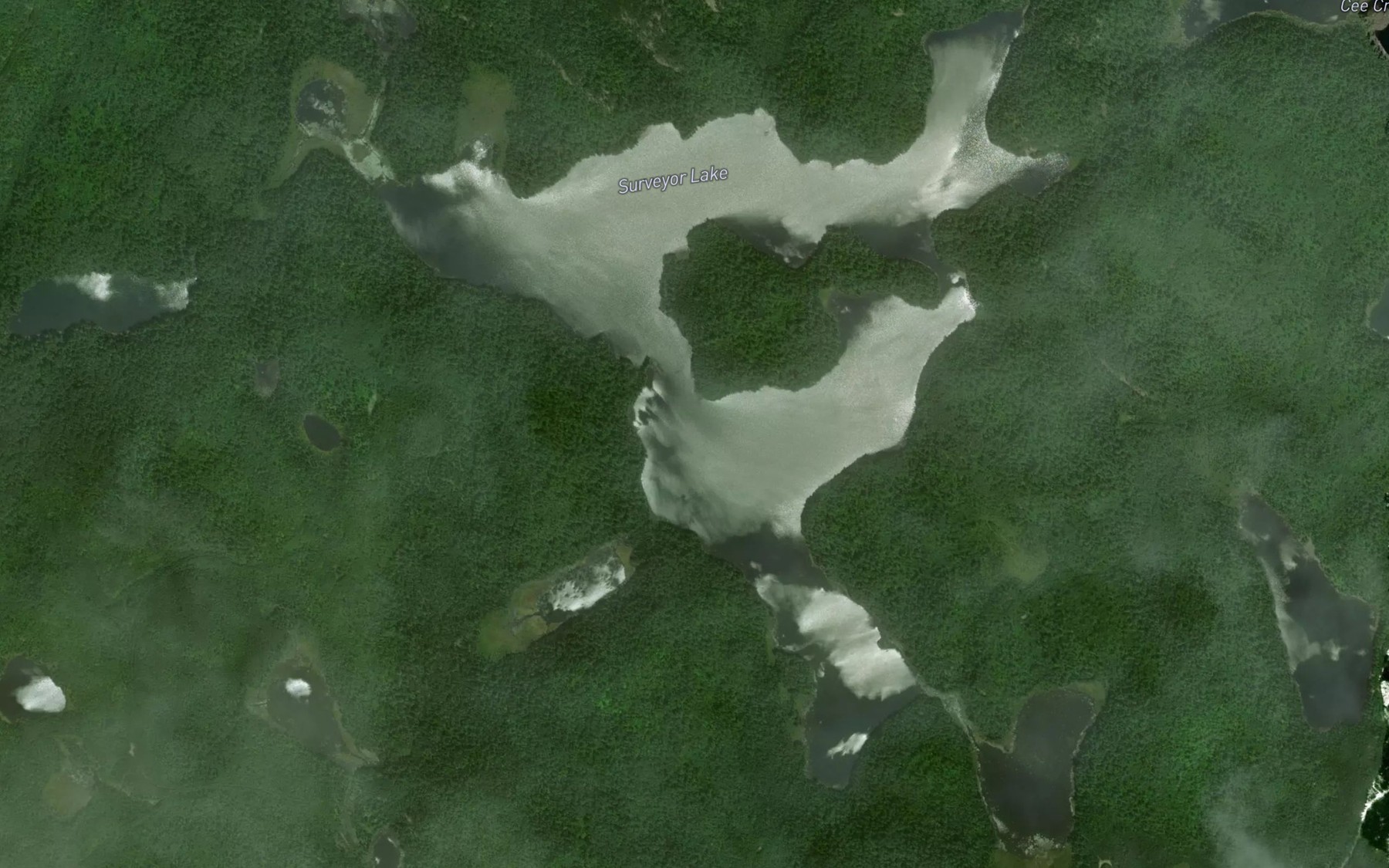 Satellite map of the Surveyor Lake