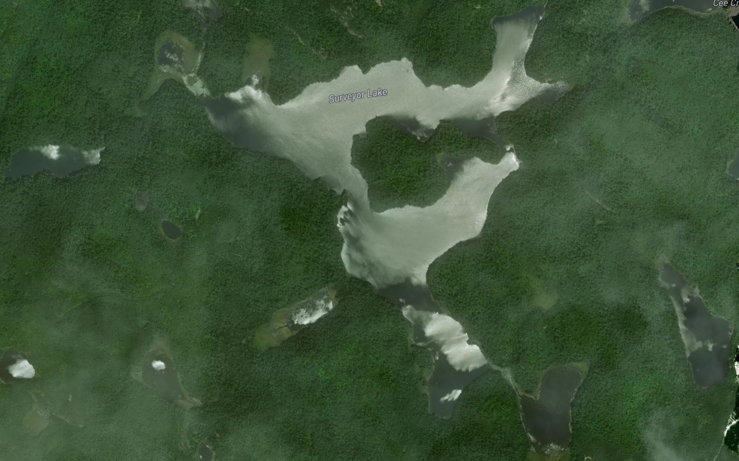Surveyor Lake