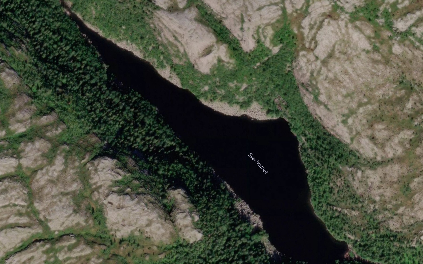 Satellite map of the Svartvatnet