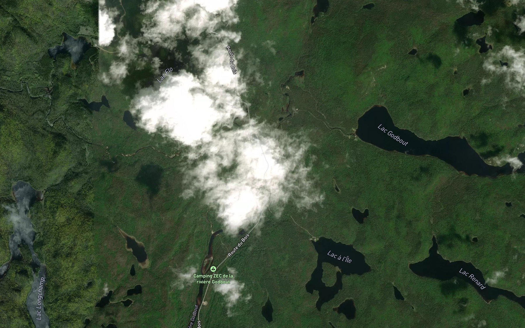 Satellite map of the Fosse Elliot