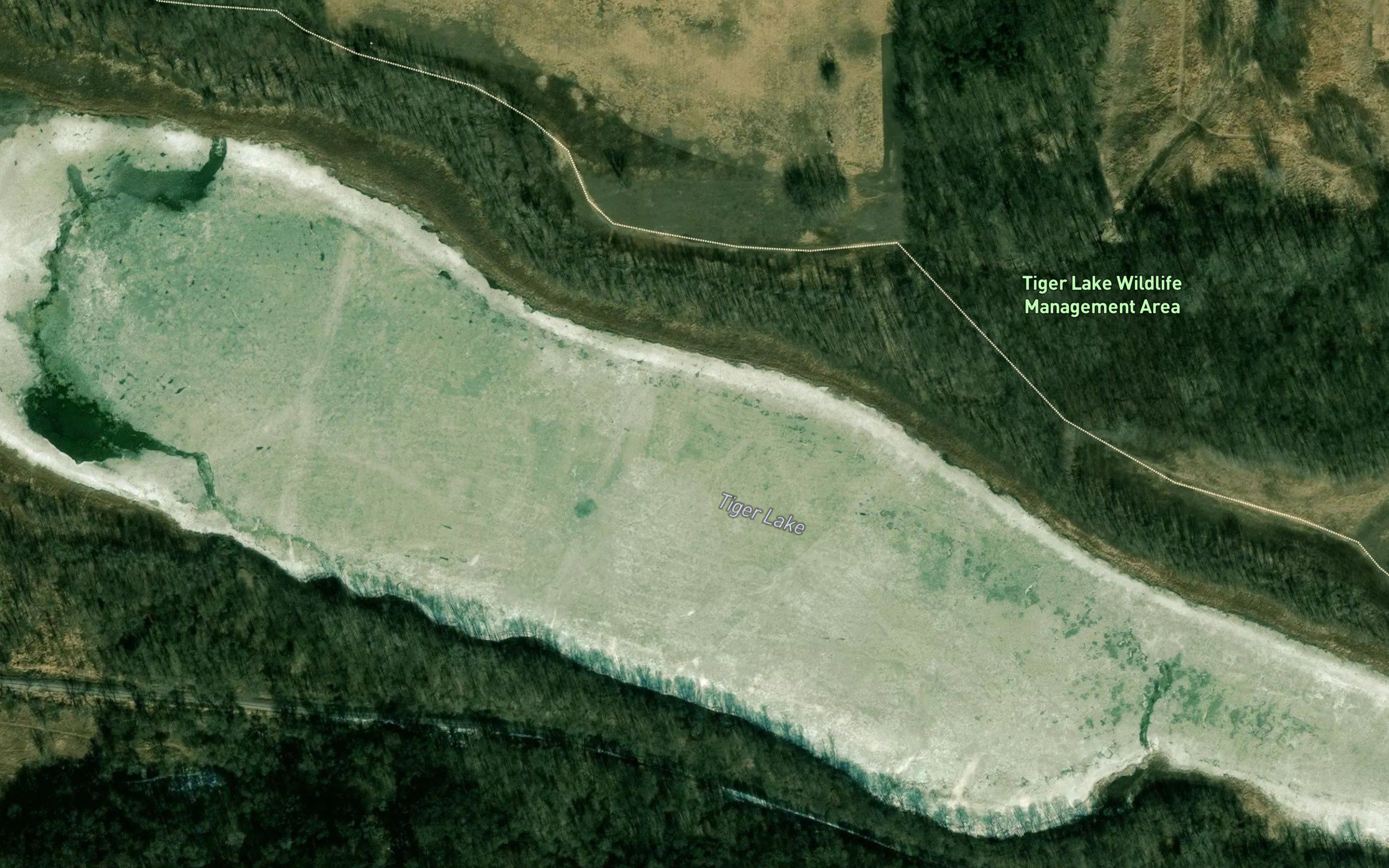 Tiger Lake