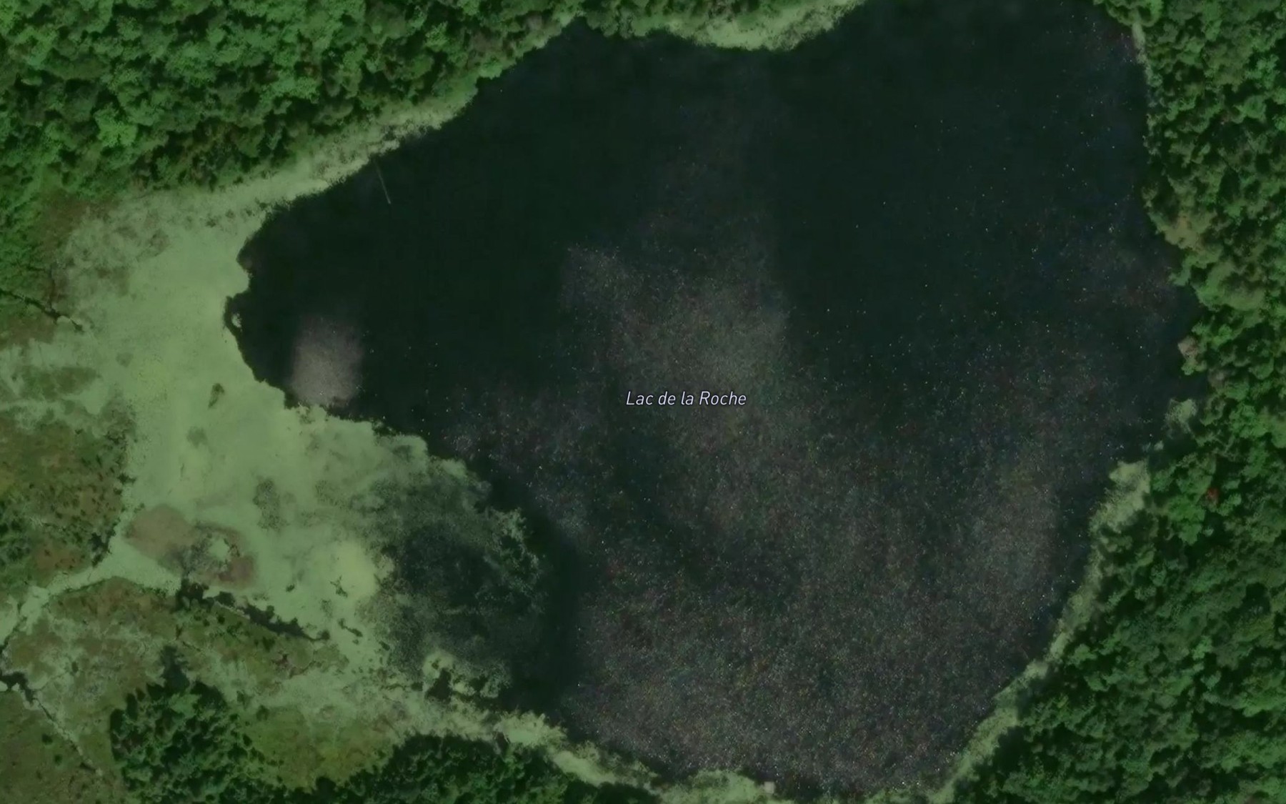 Satellite map of the Lac de la Roche