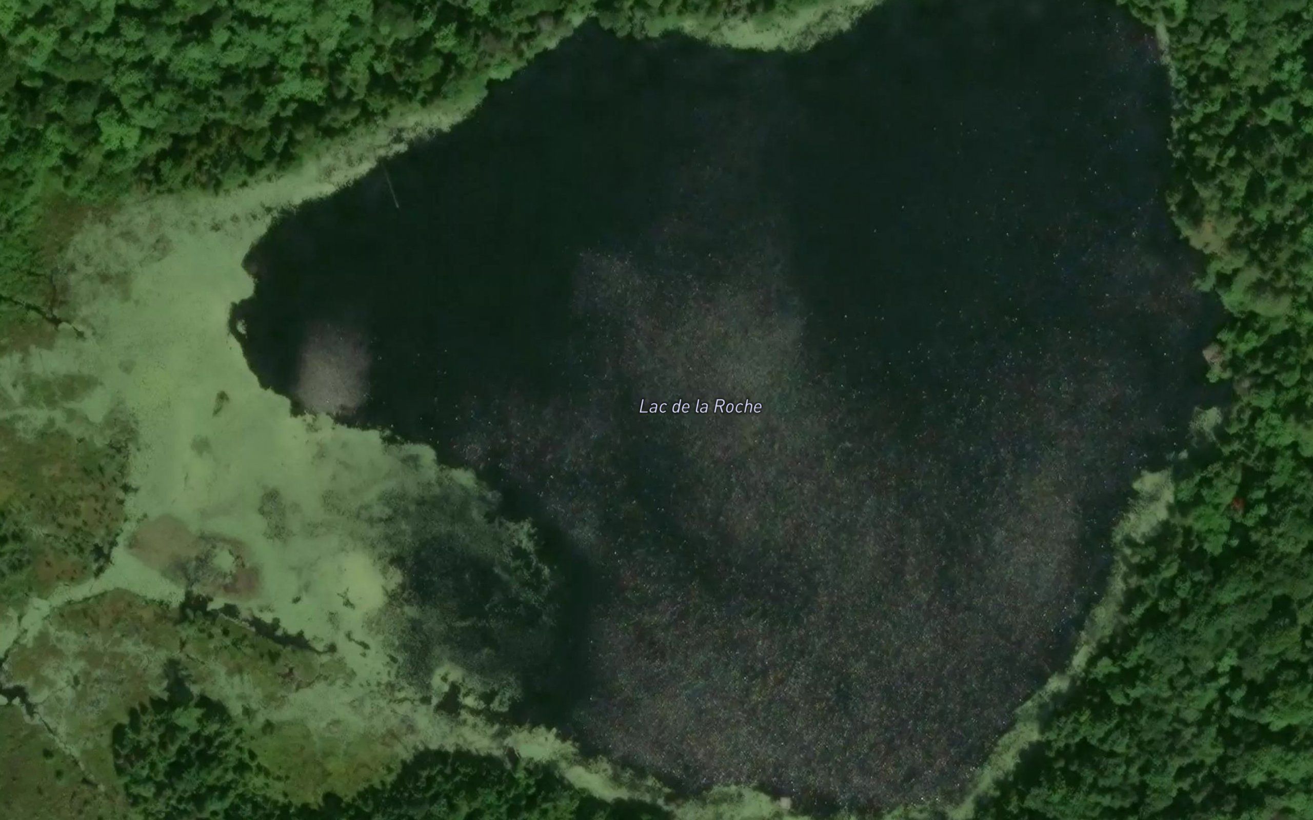 Lac de la Roche