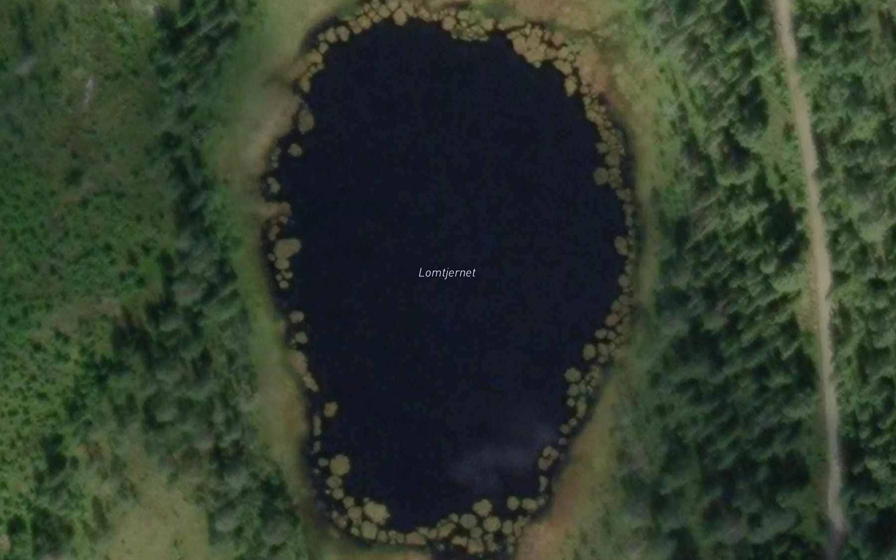 Satellite map of the Lomtjernet