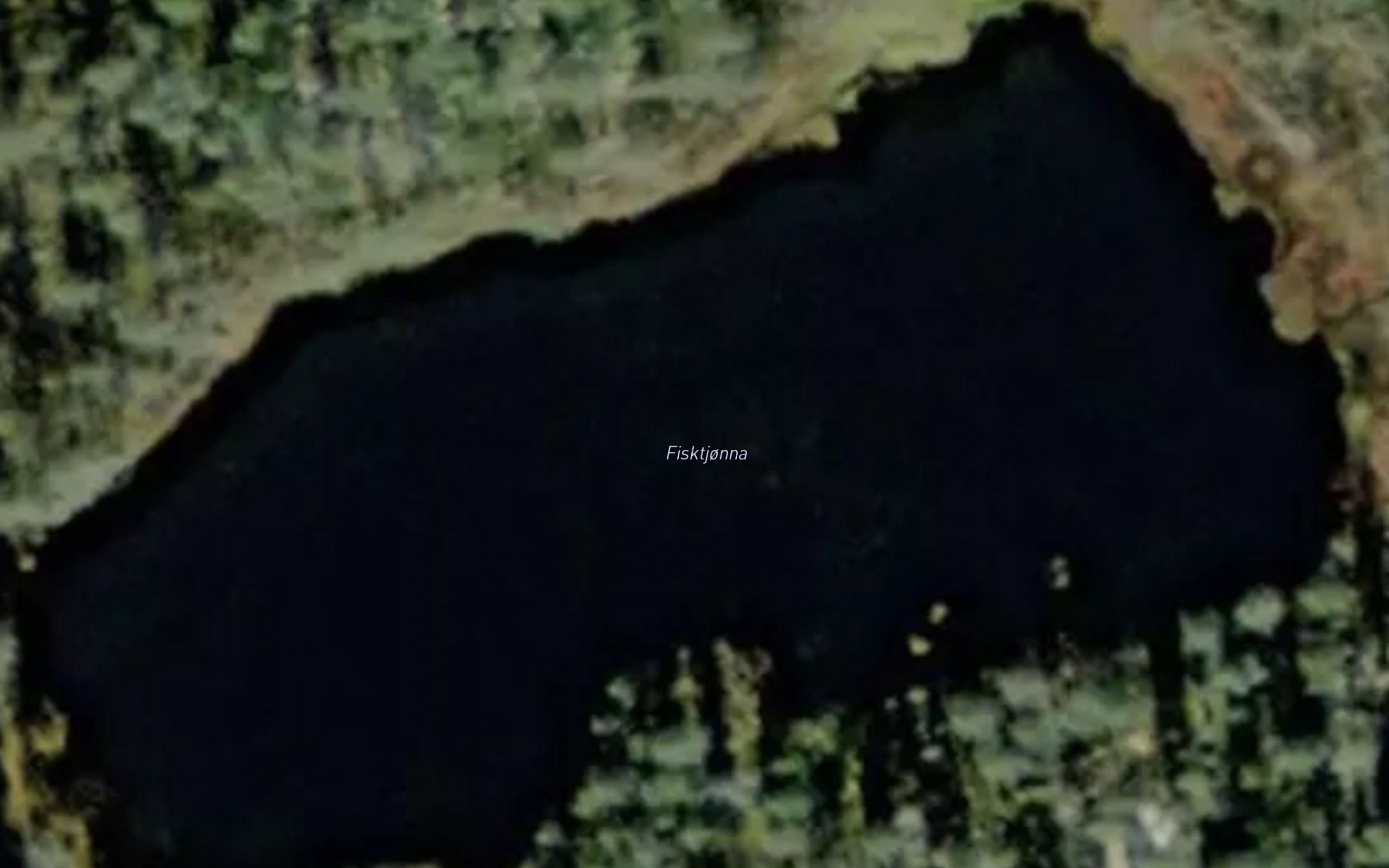 Fisktjorna
