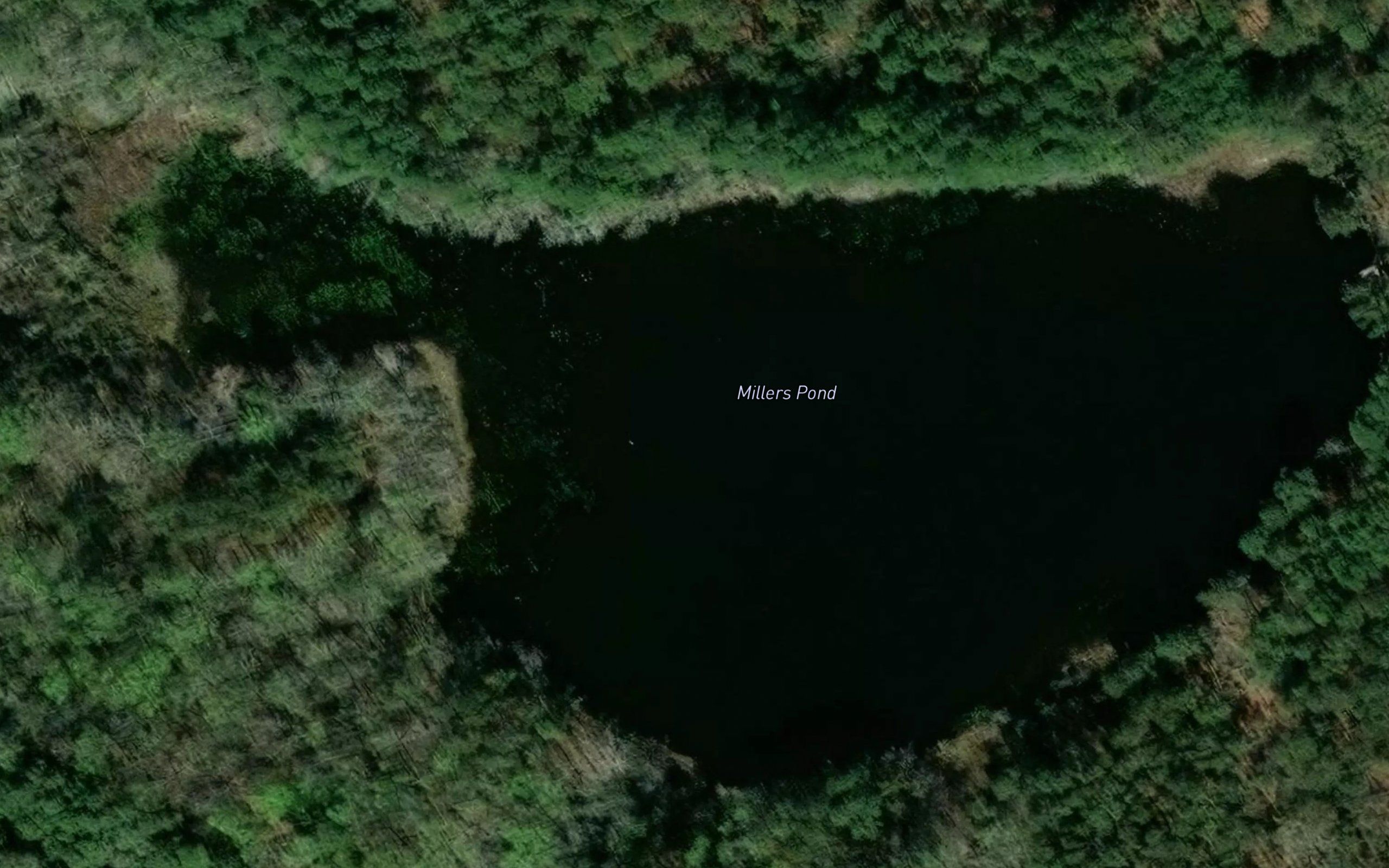 Miller Ponds