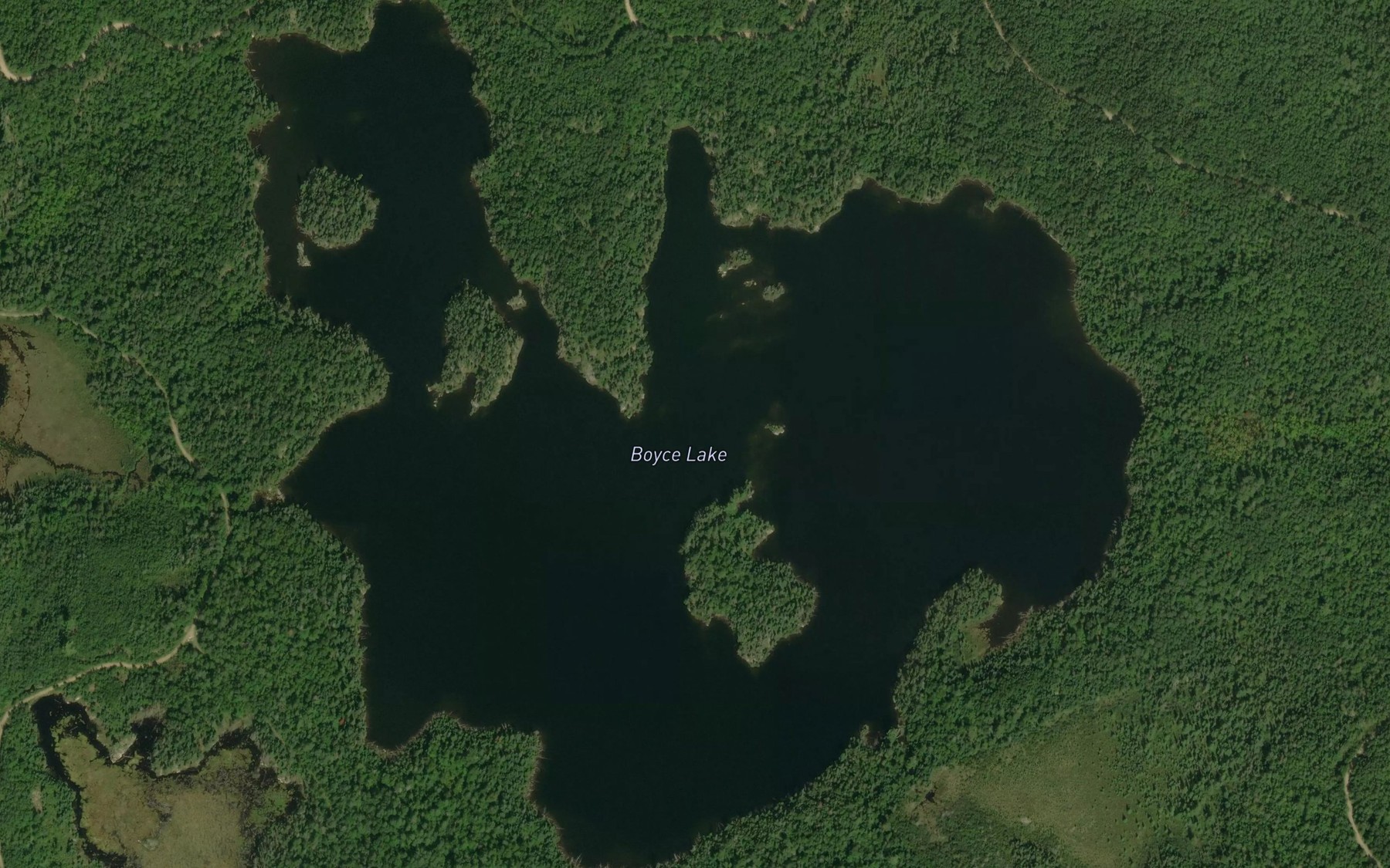 Satellite map of the Boyce Lake