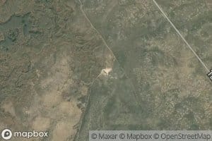 Cottontail Waterhole