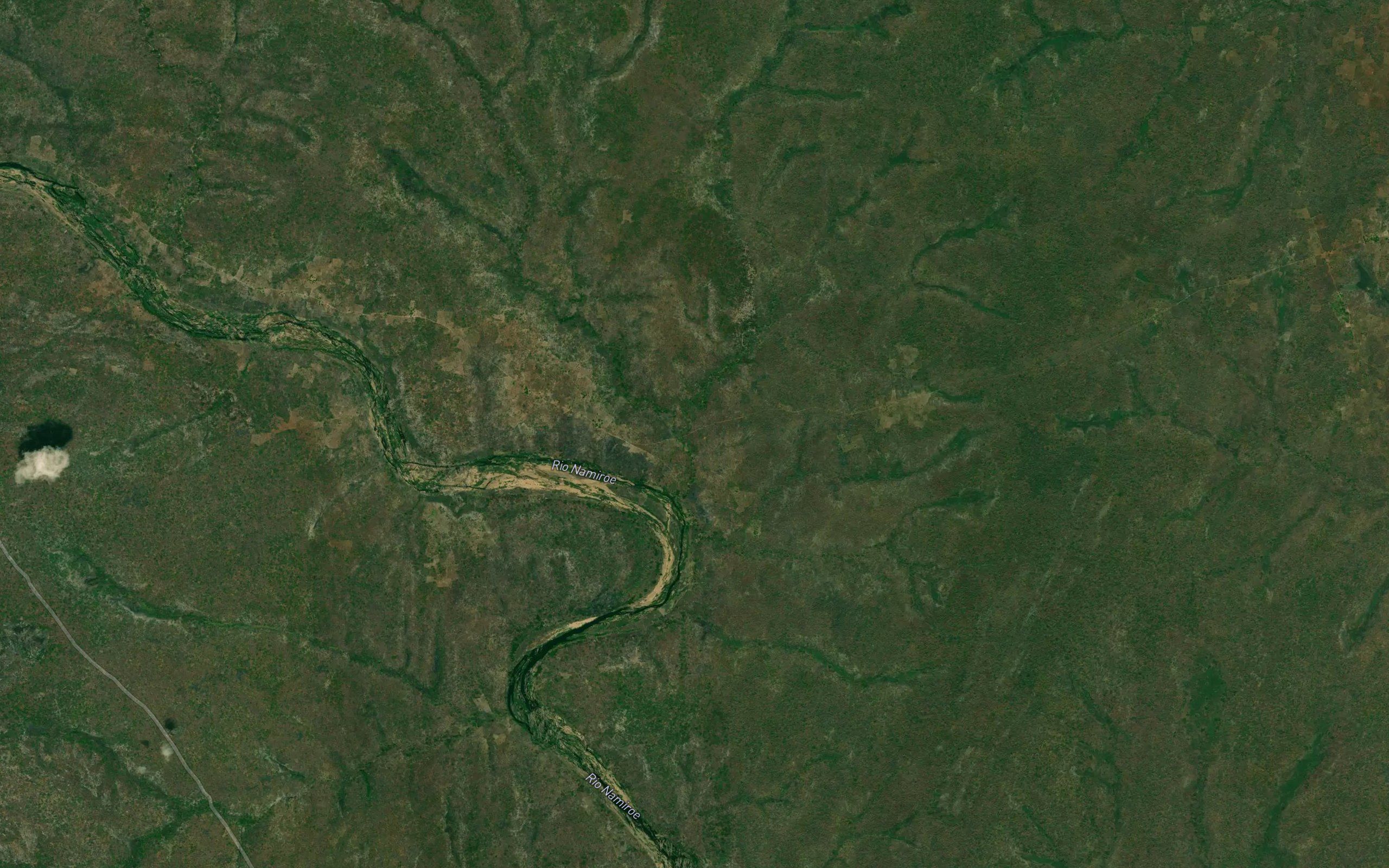Murrela