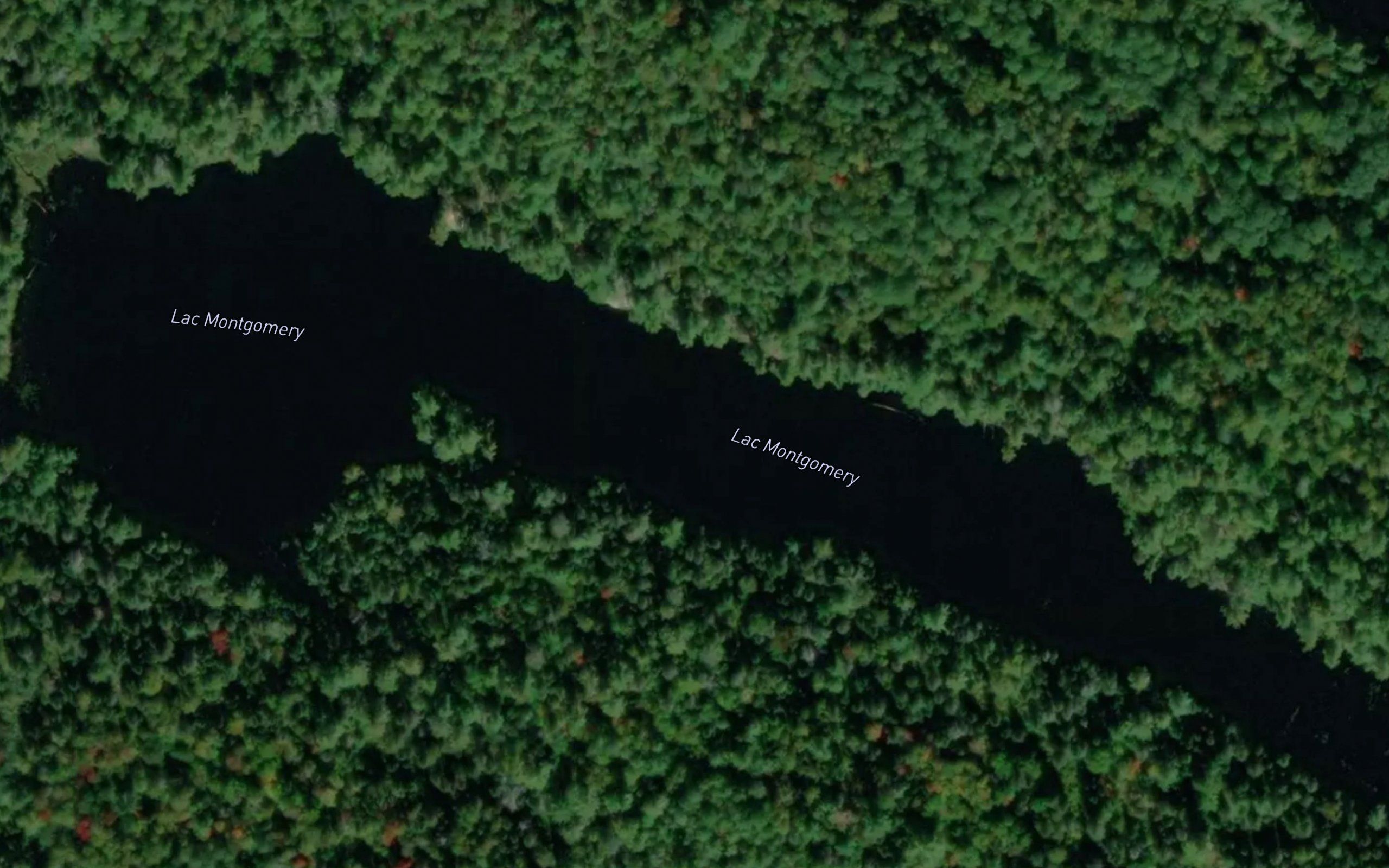 Lac Montgomery