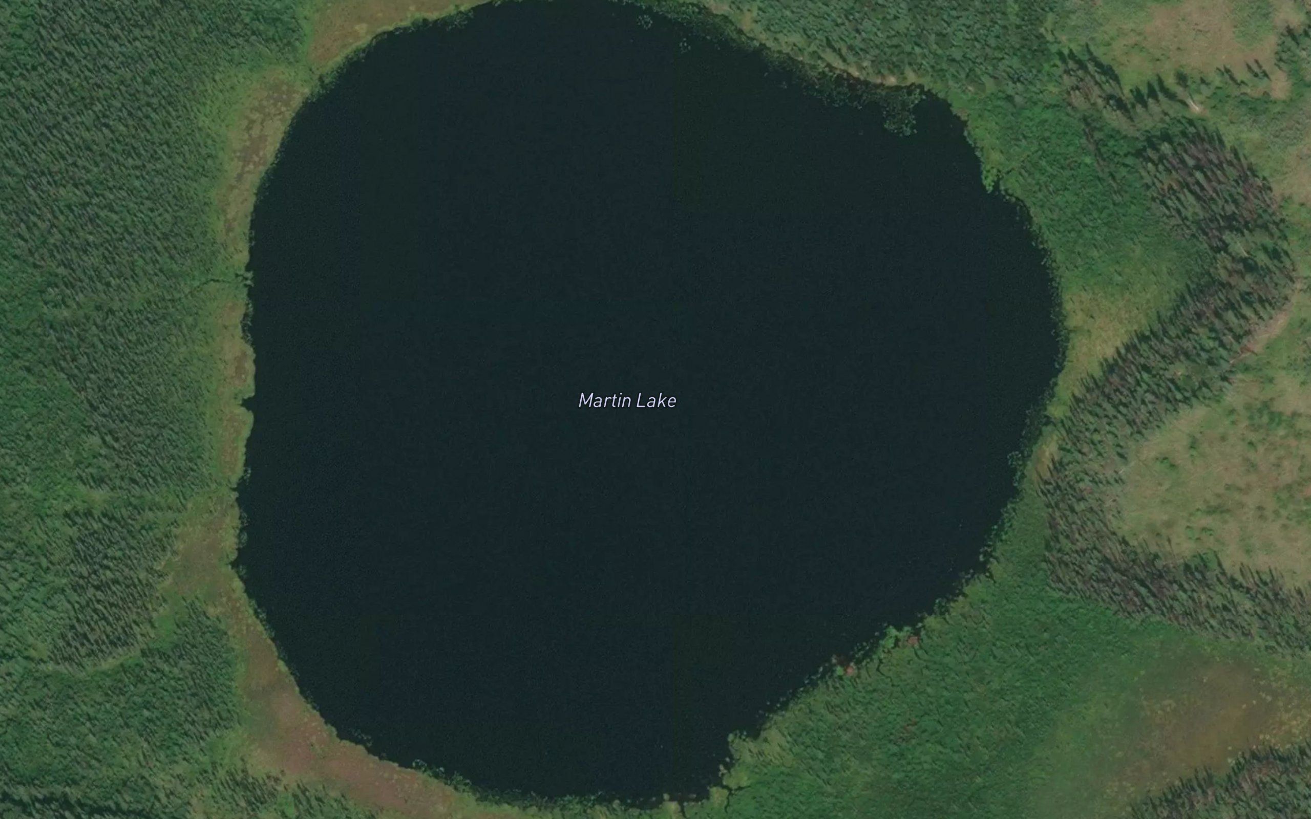 Martin Lake