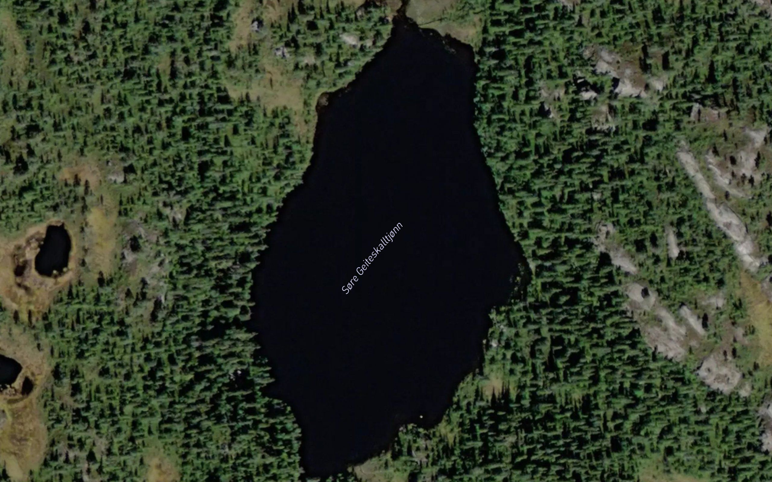 Geiteskalltjorni