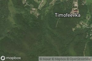 Vladimirovka