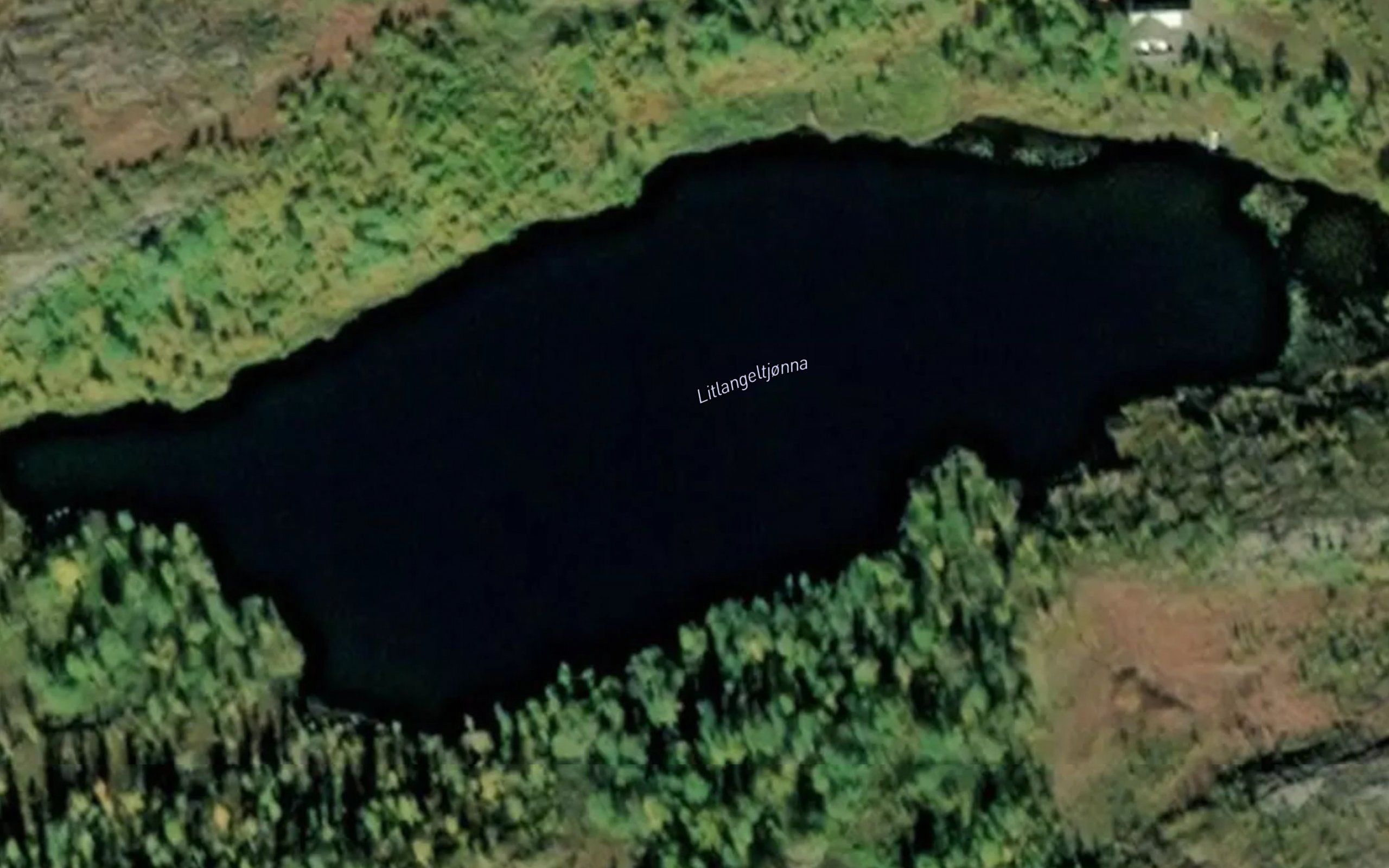 Angeltjorna,l