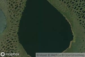 Ozero Bol'shoye Lesnoye