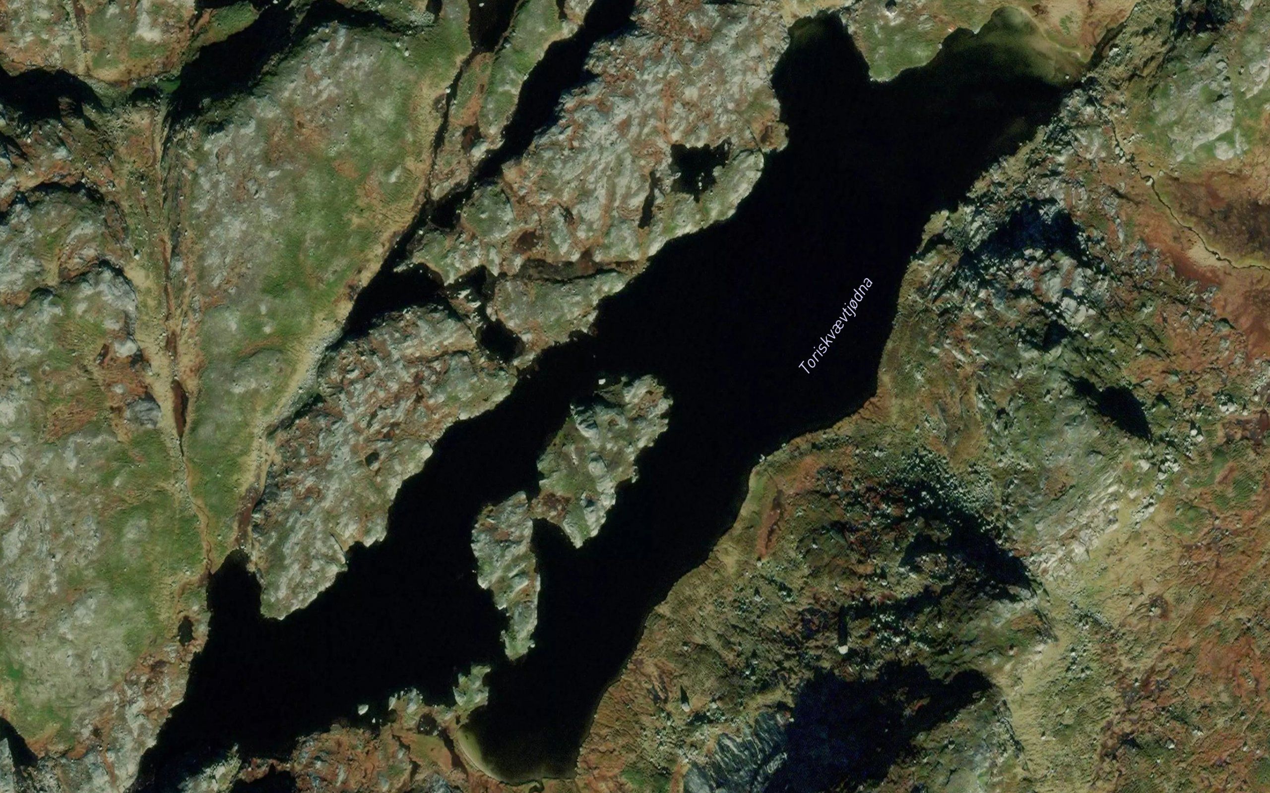 Toriskvaevtjodna