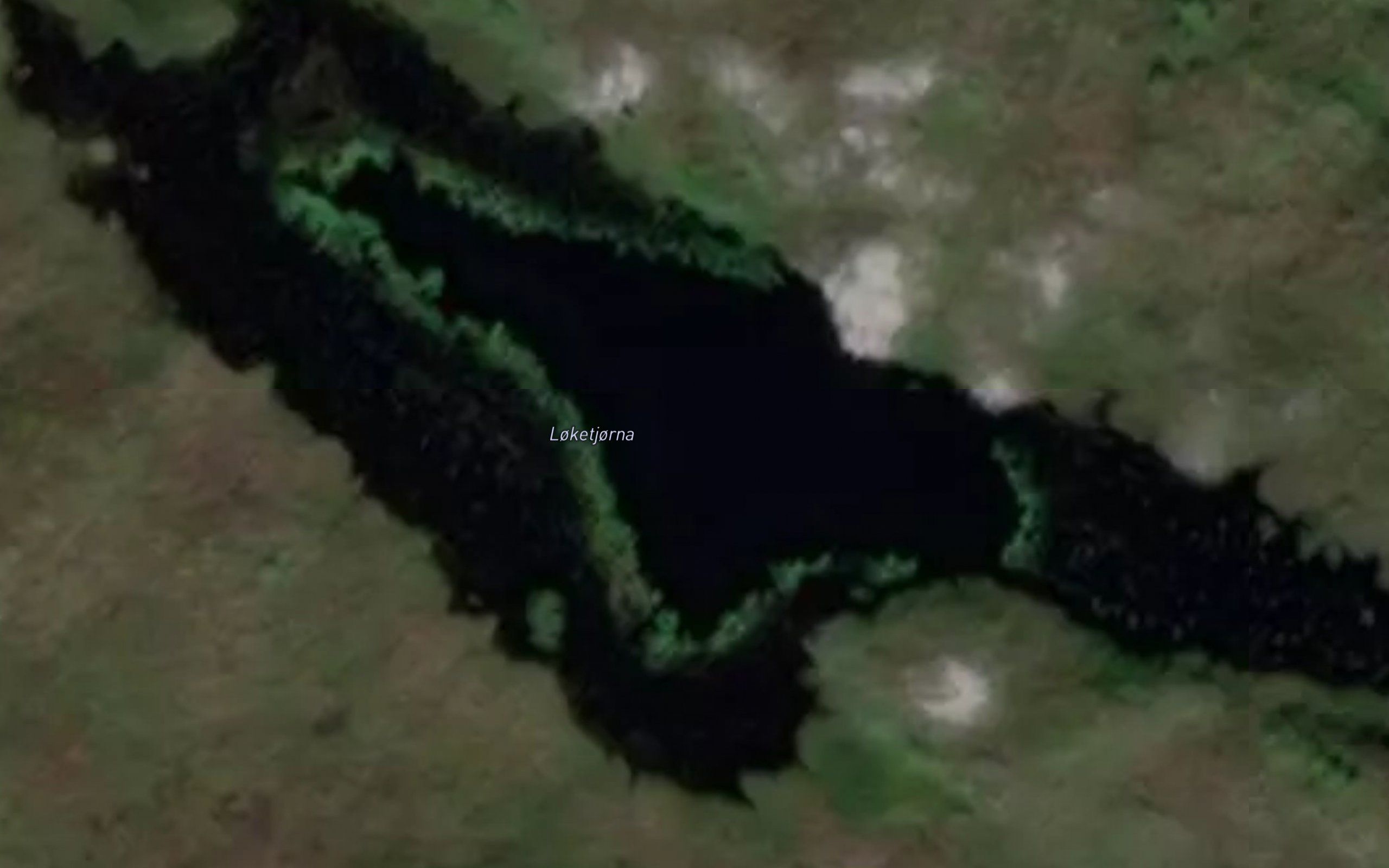 Loketjorna