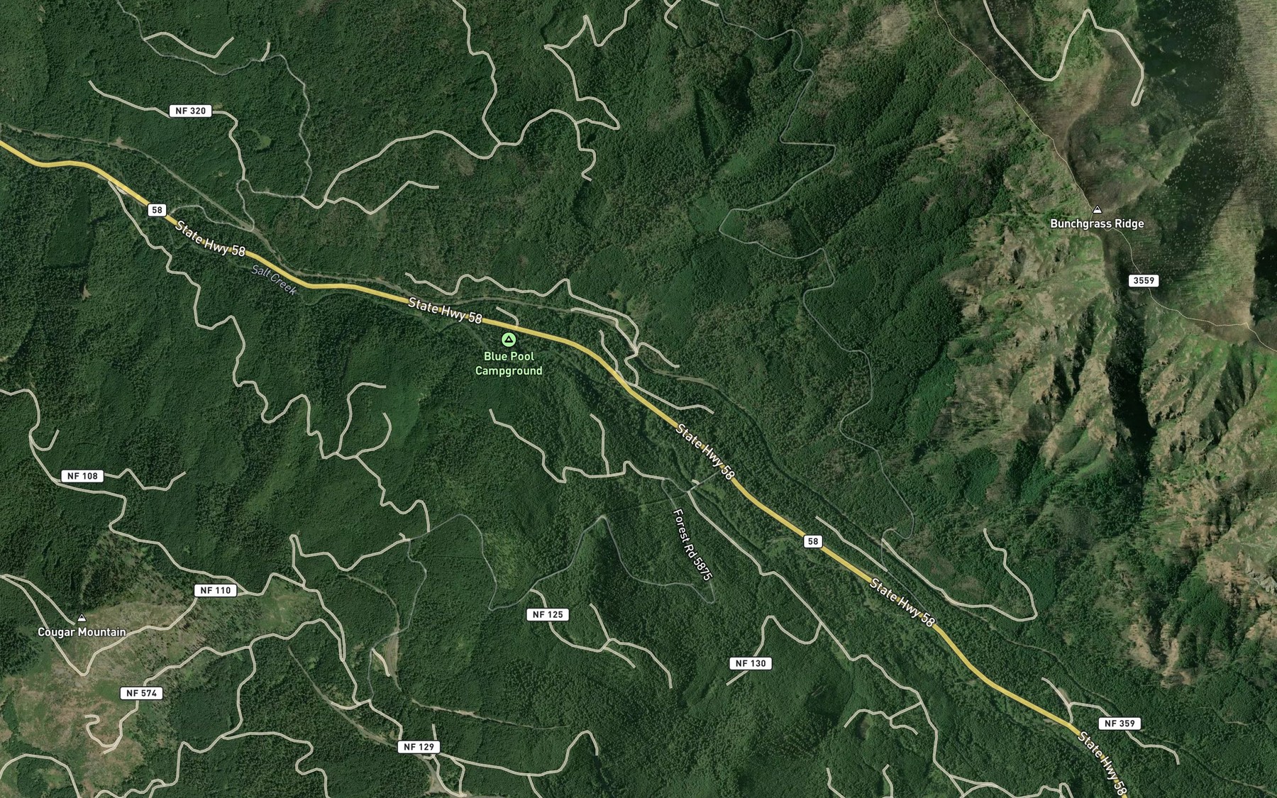 Satellite map of the McCredie Hot Springs