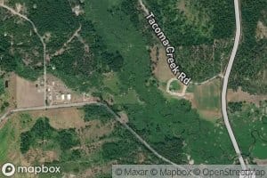 South Fork Tacoma Creek