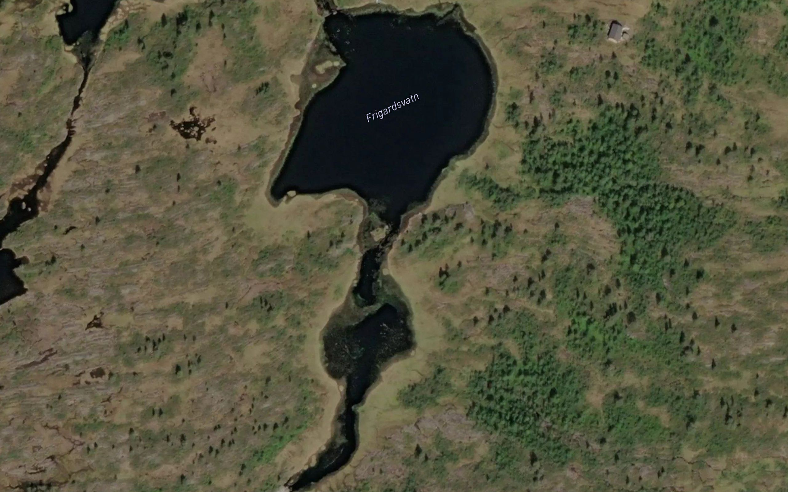Frigardsvatn