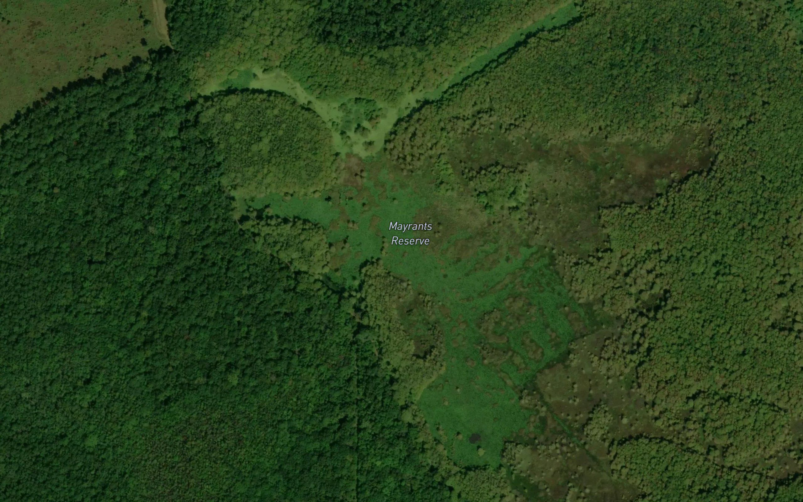 Mayrants Reserve