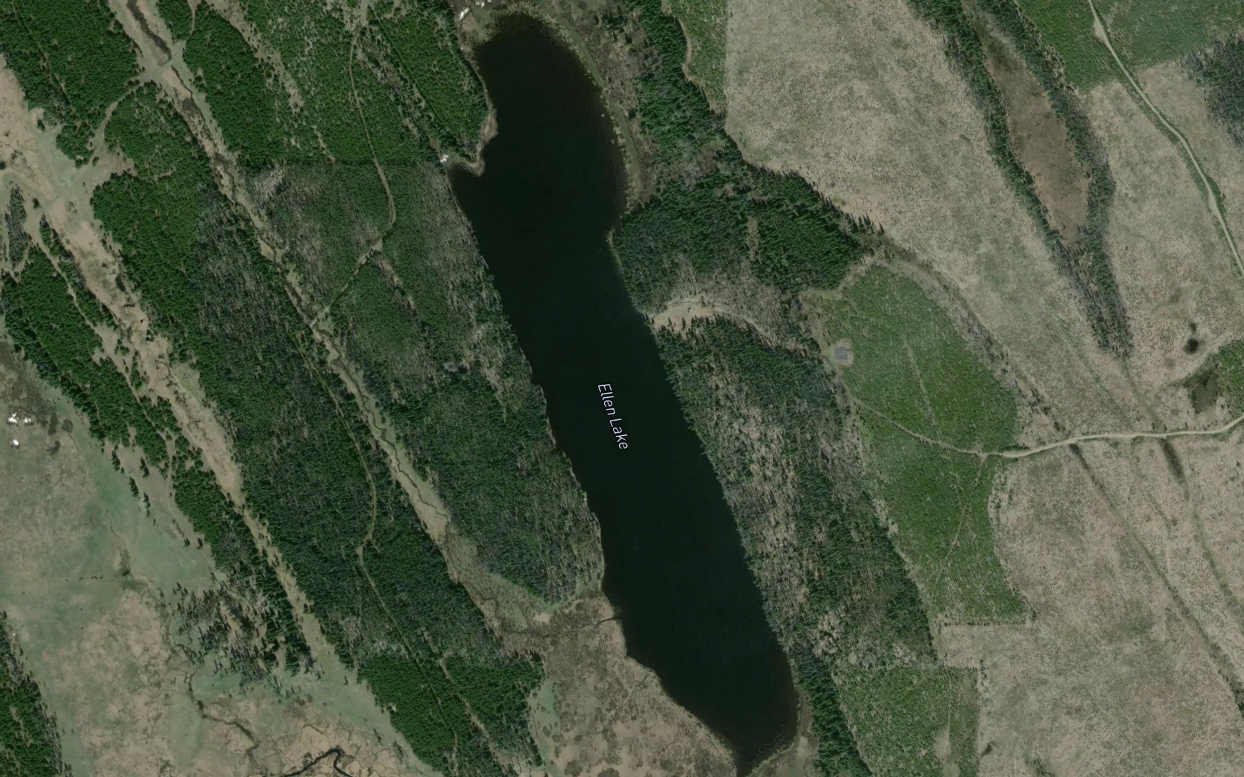 Satellite map of the Ellen Lake