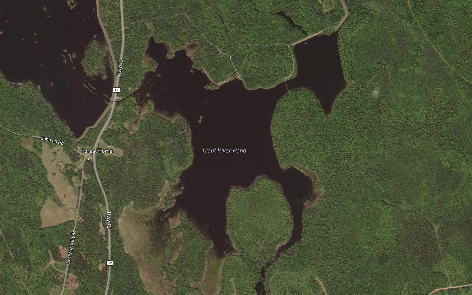 Satellite map of the Trout River Pond