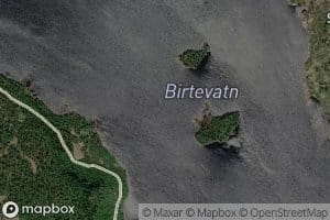 Birtevatn