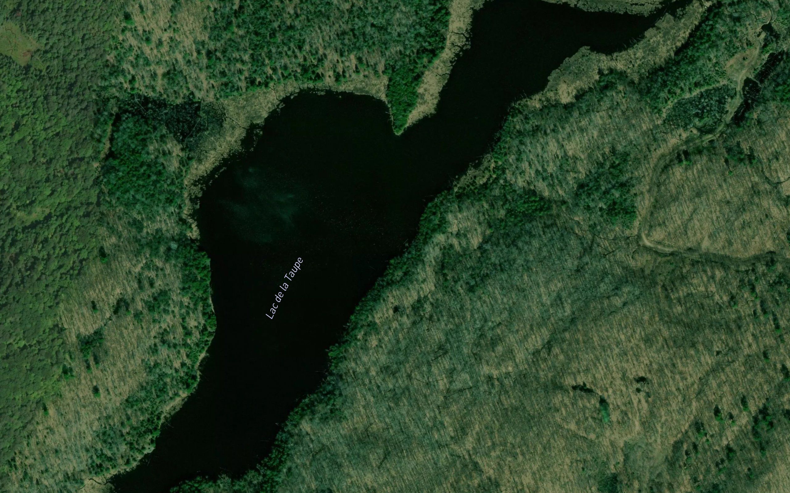 Lac de la Taupe