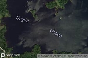 Ungen