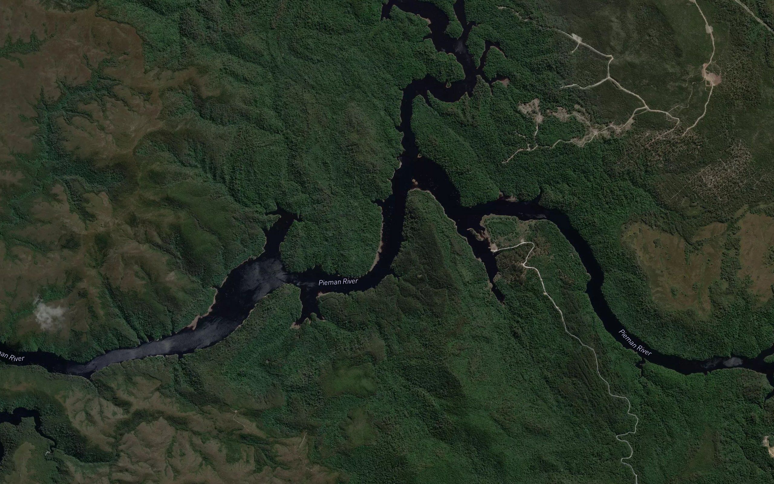 Wilson River