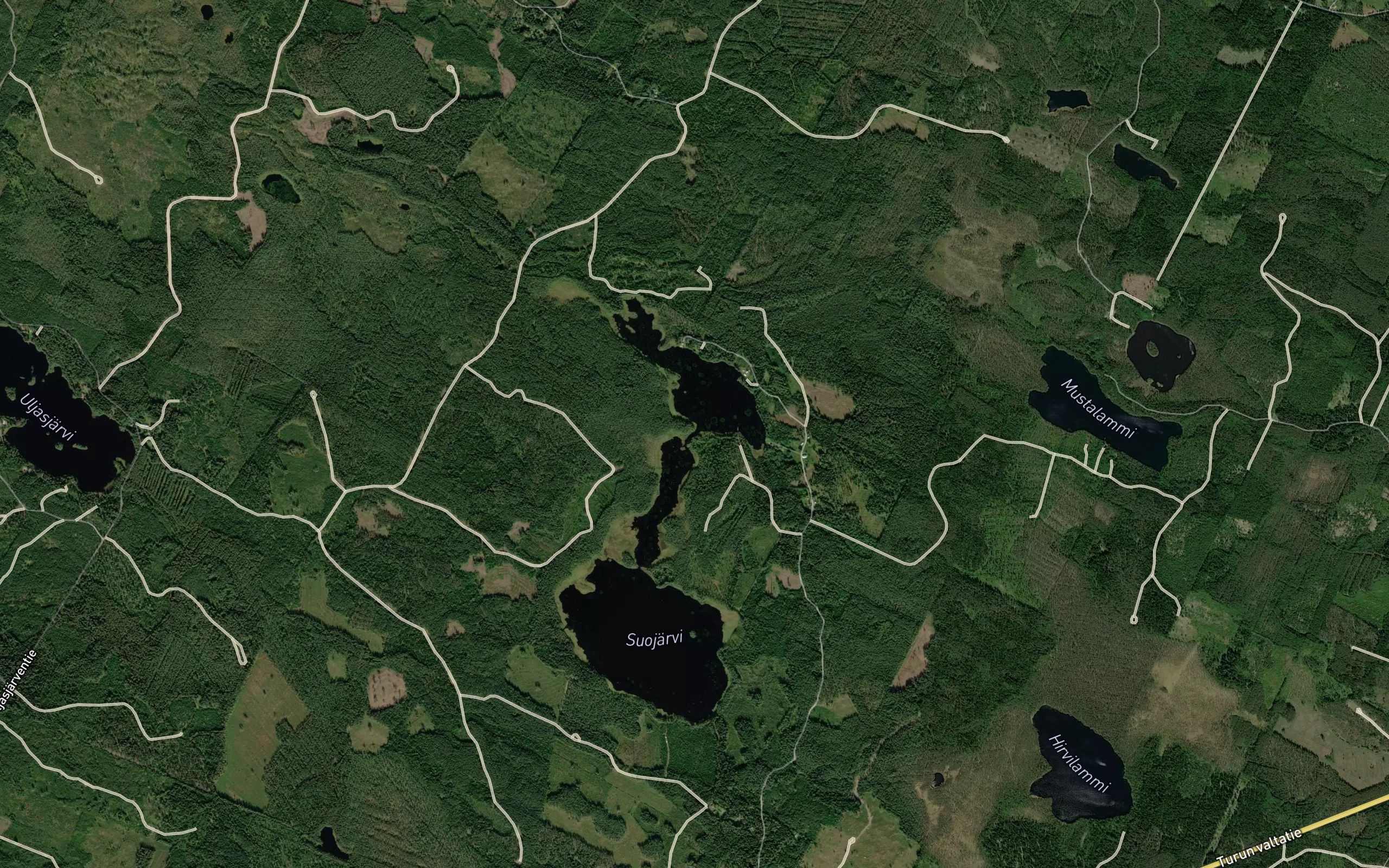 Suojarvensuntti
