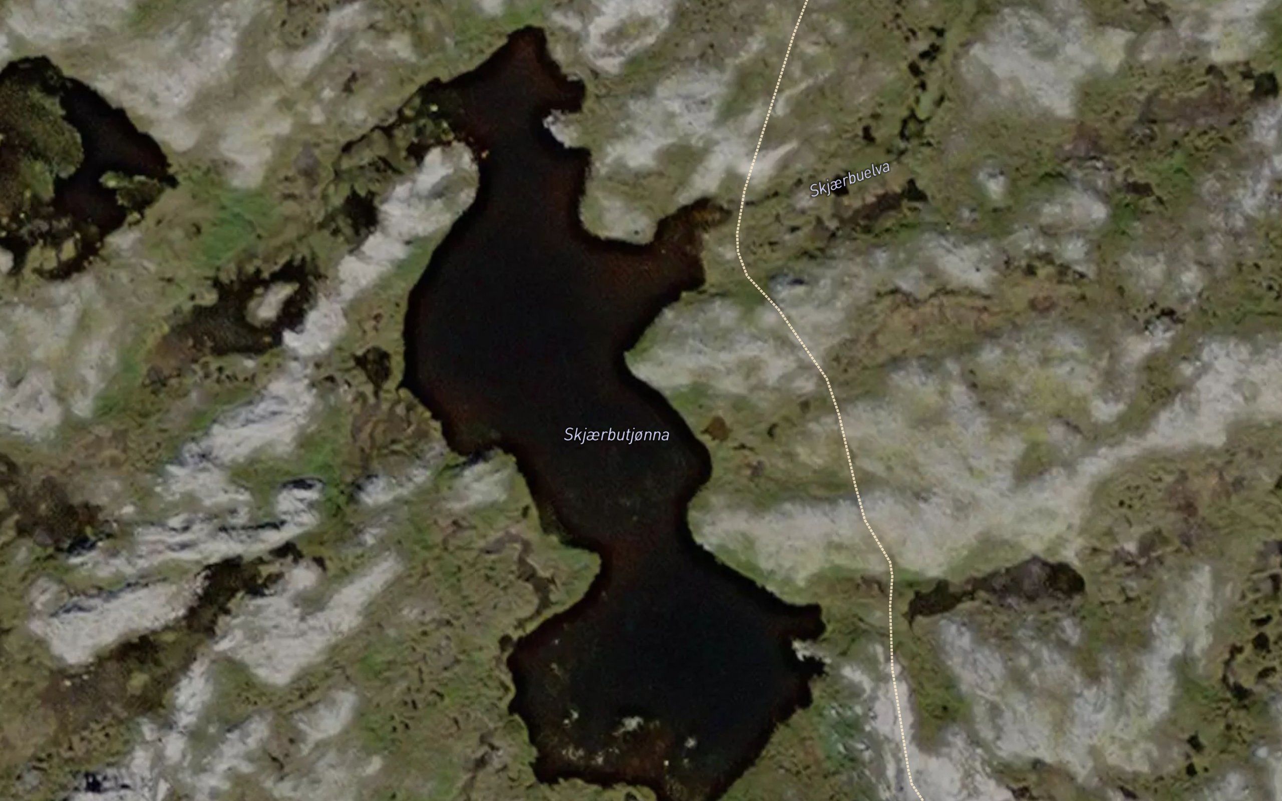 Skjaerbutjorna