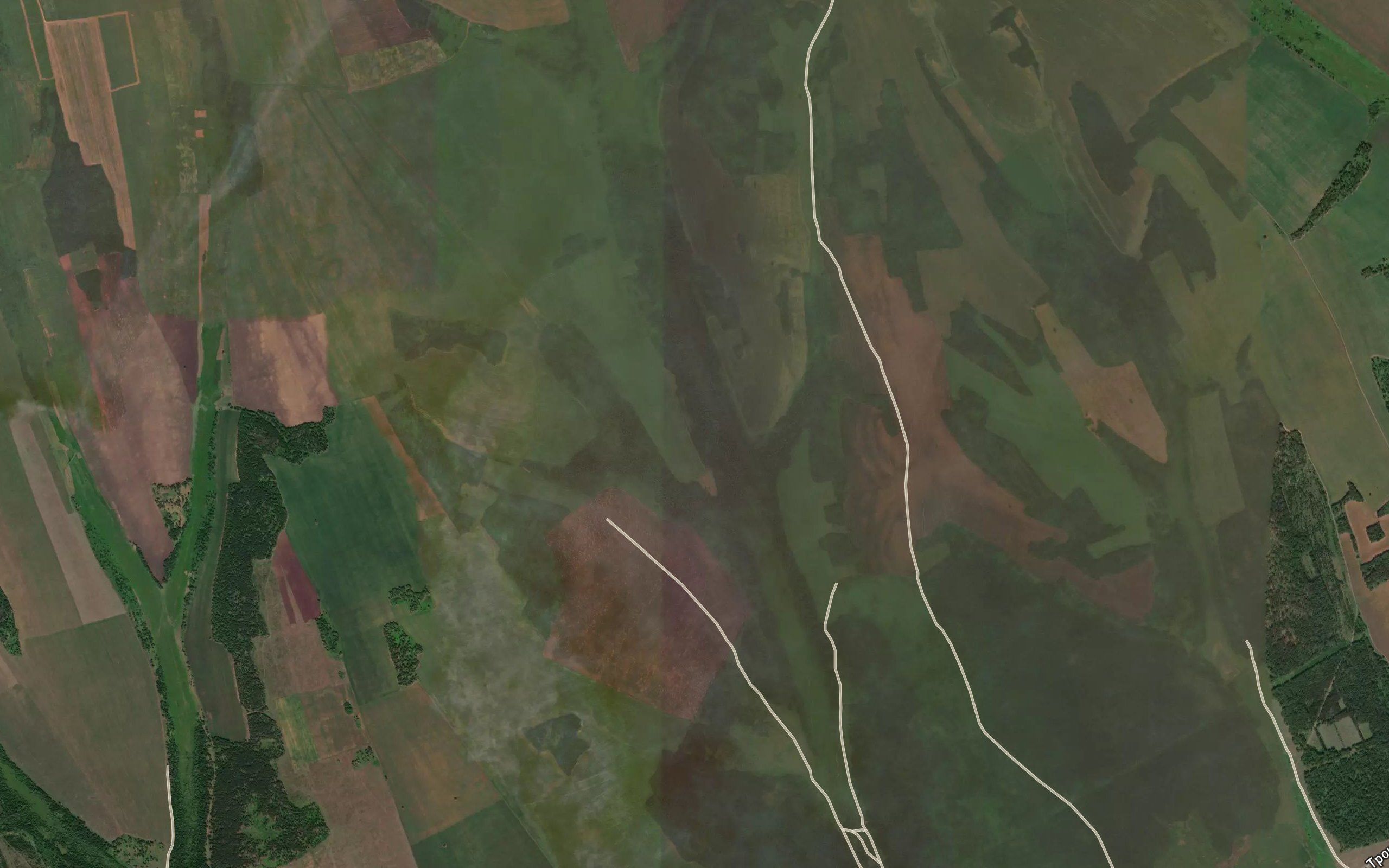 Pad' Kholmogoy