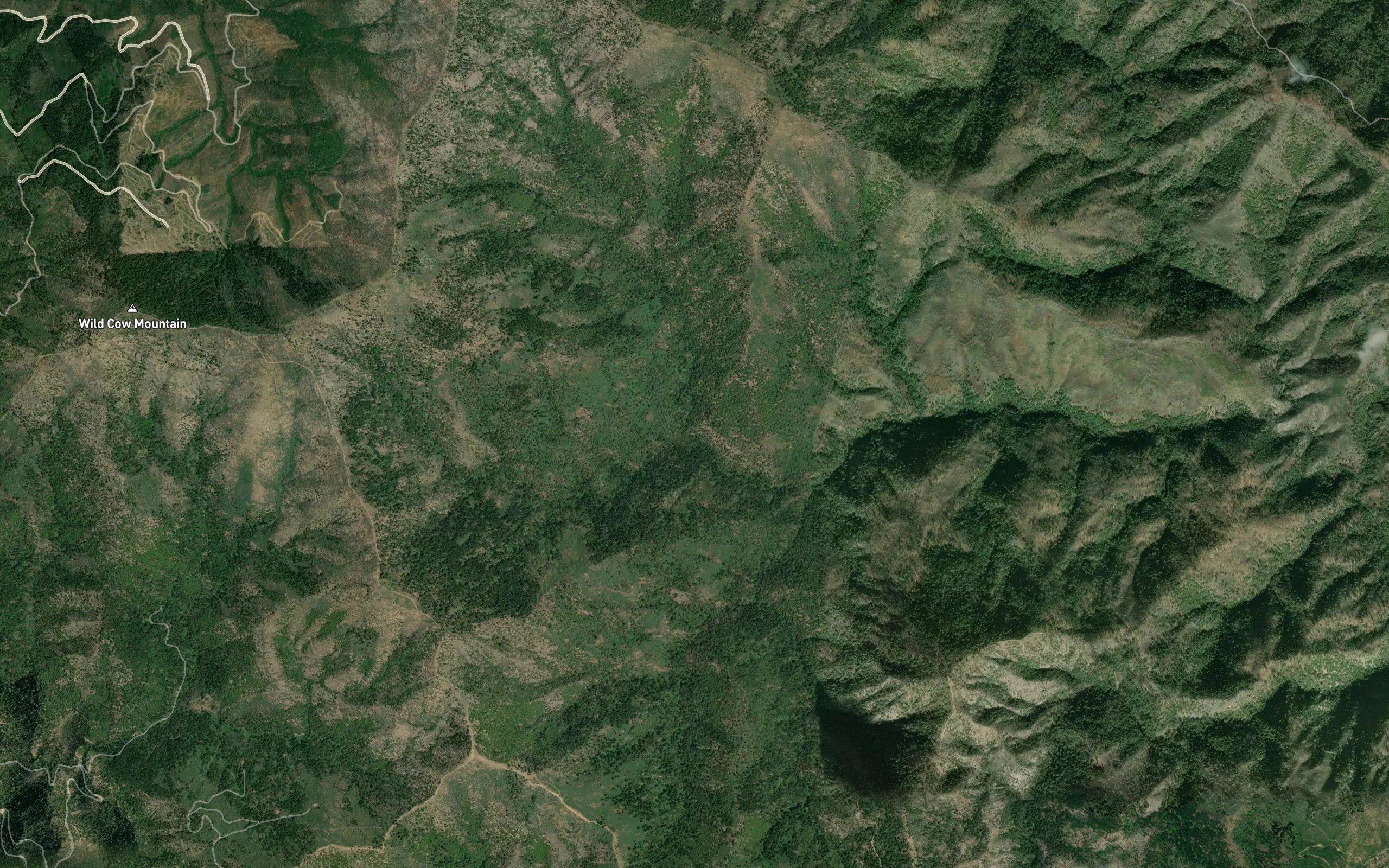Modesto Fork